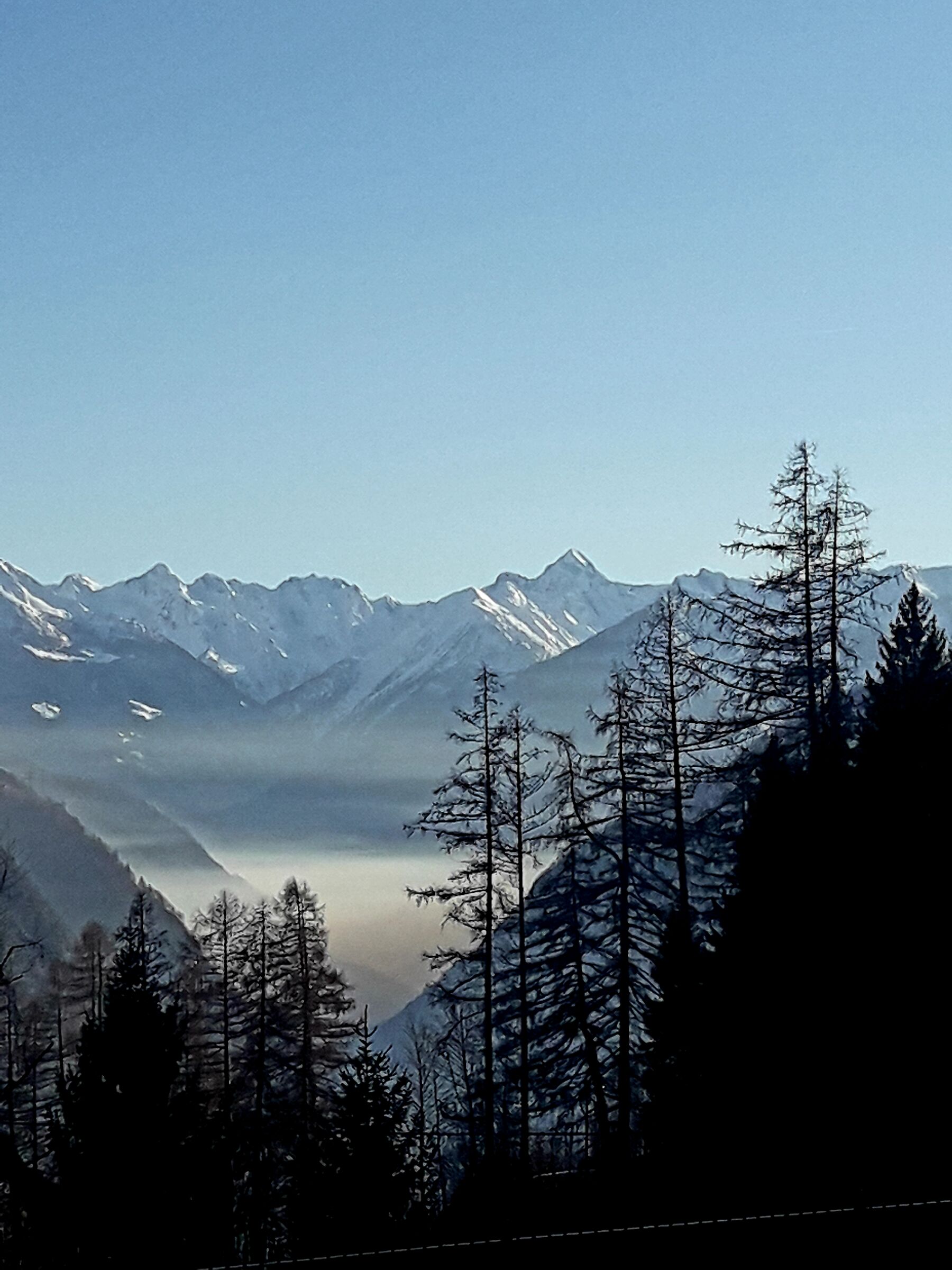 Bruna della sera tra i monti