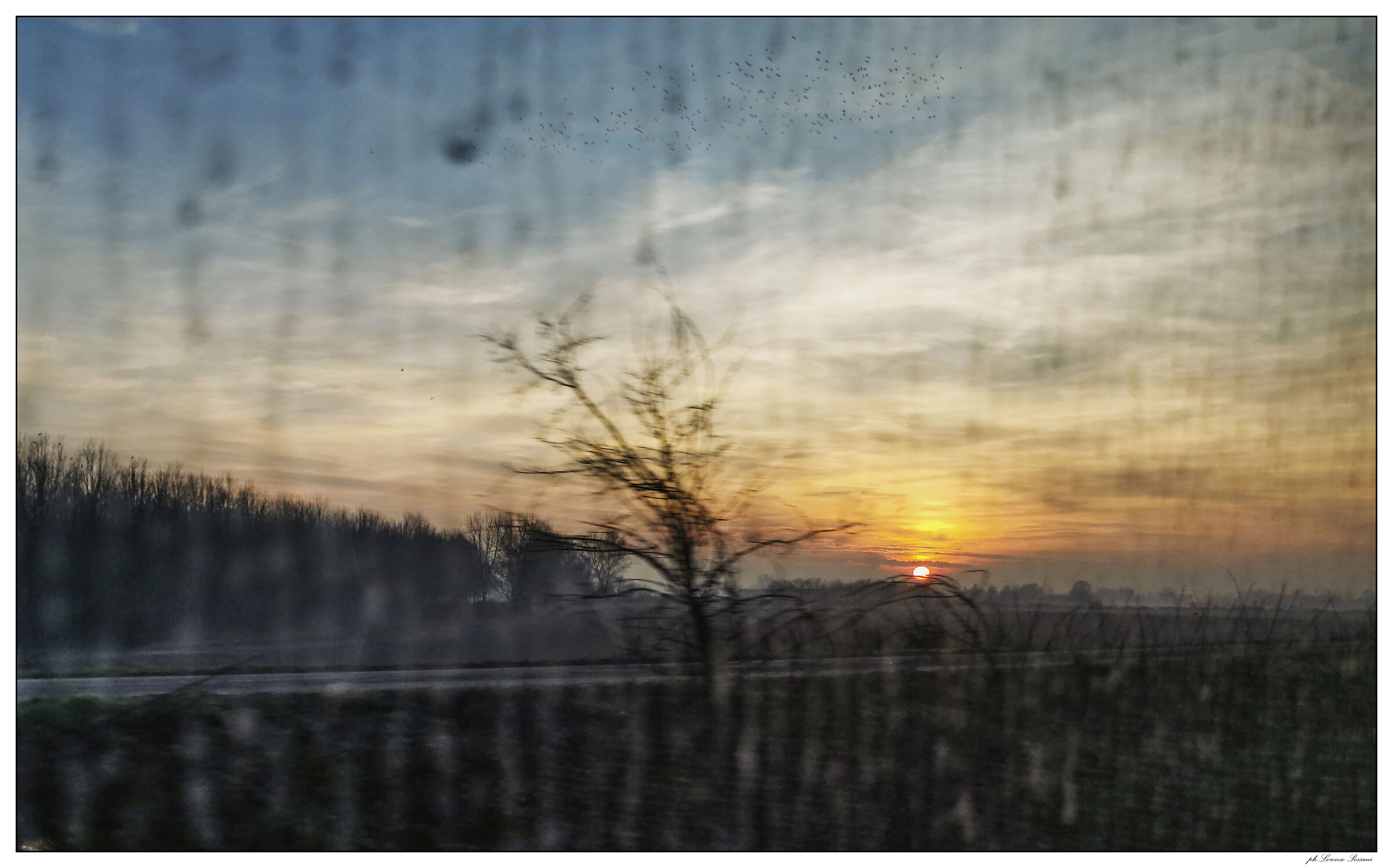 from the train windows