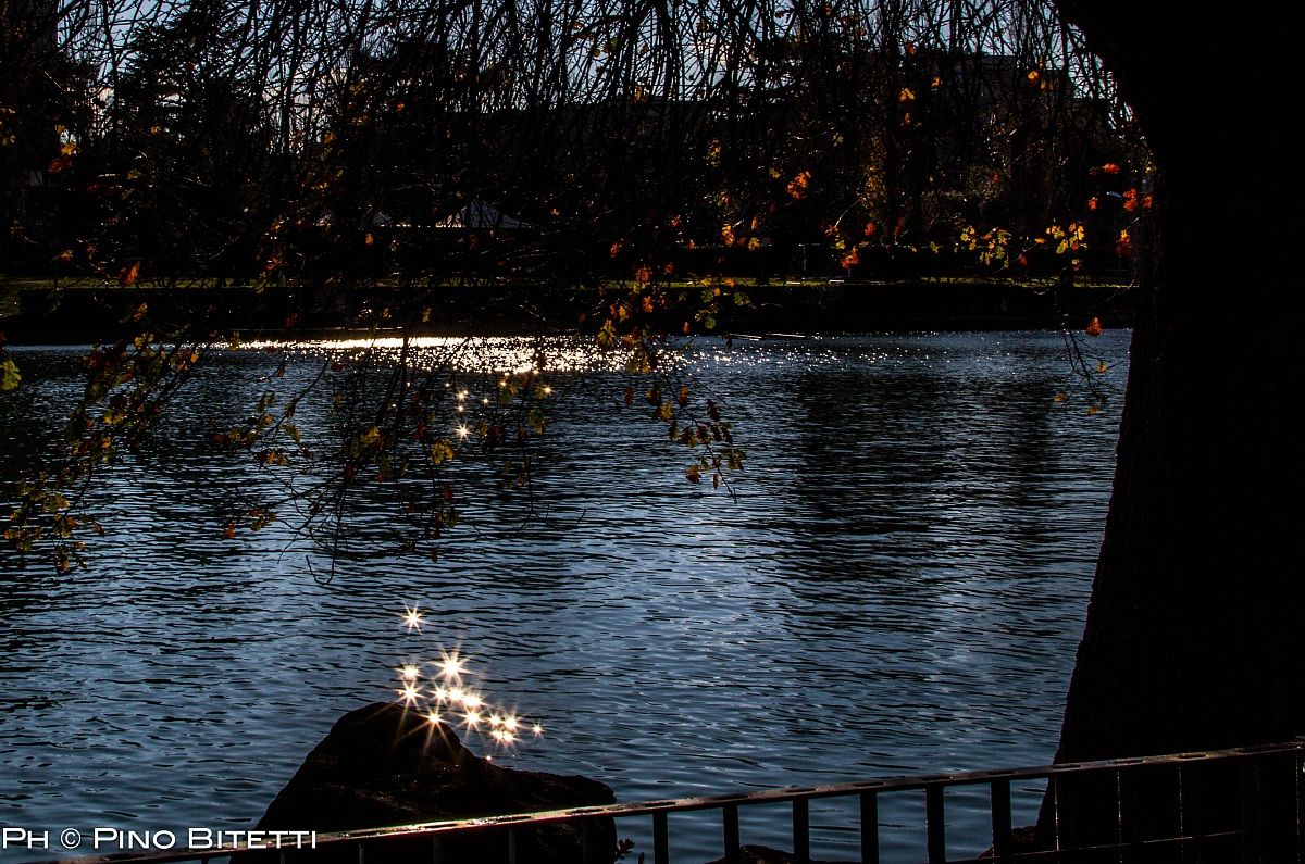 lake and stars of light