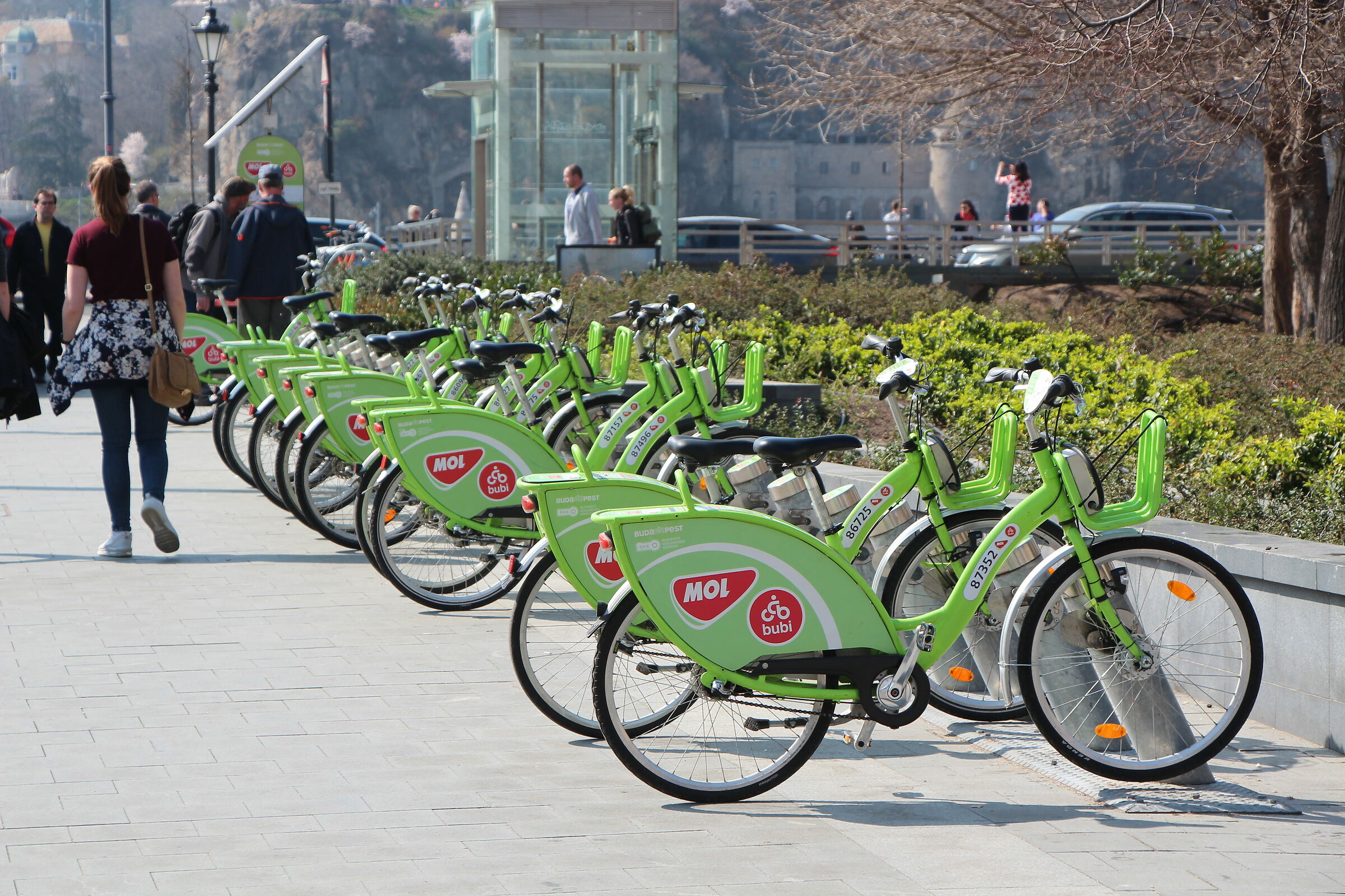 Budapest - rental bike