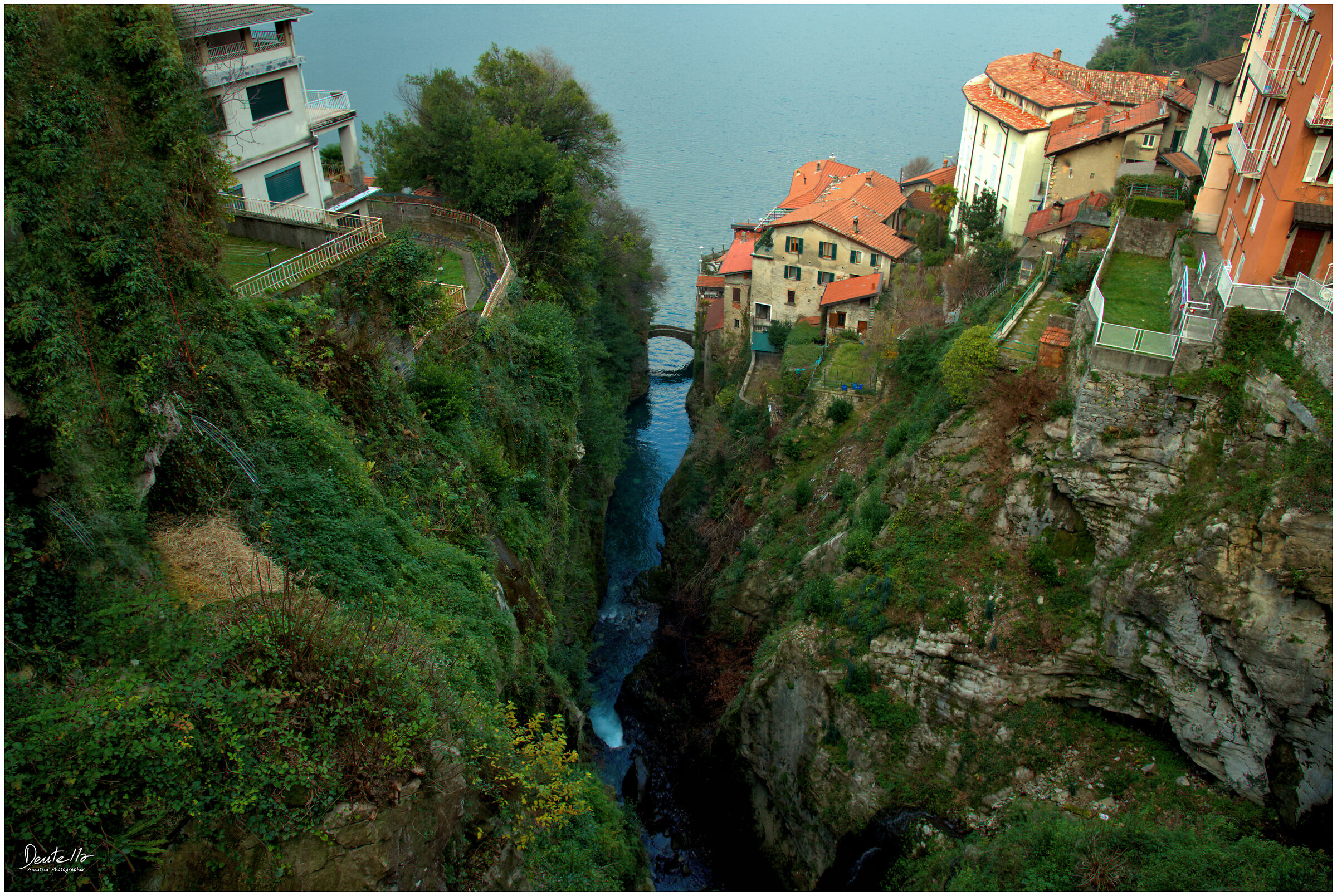 Horrid nesso (CO)