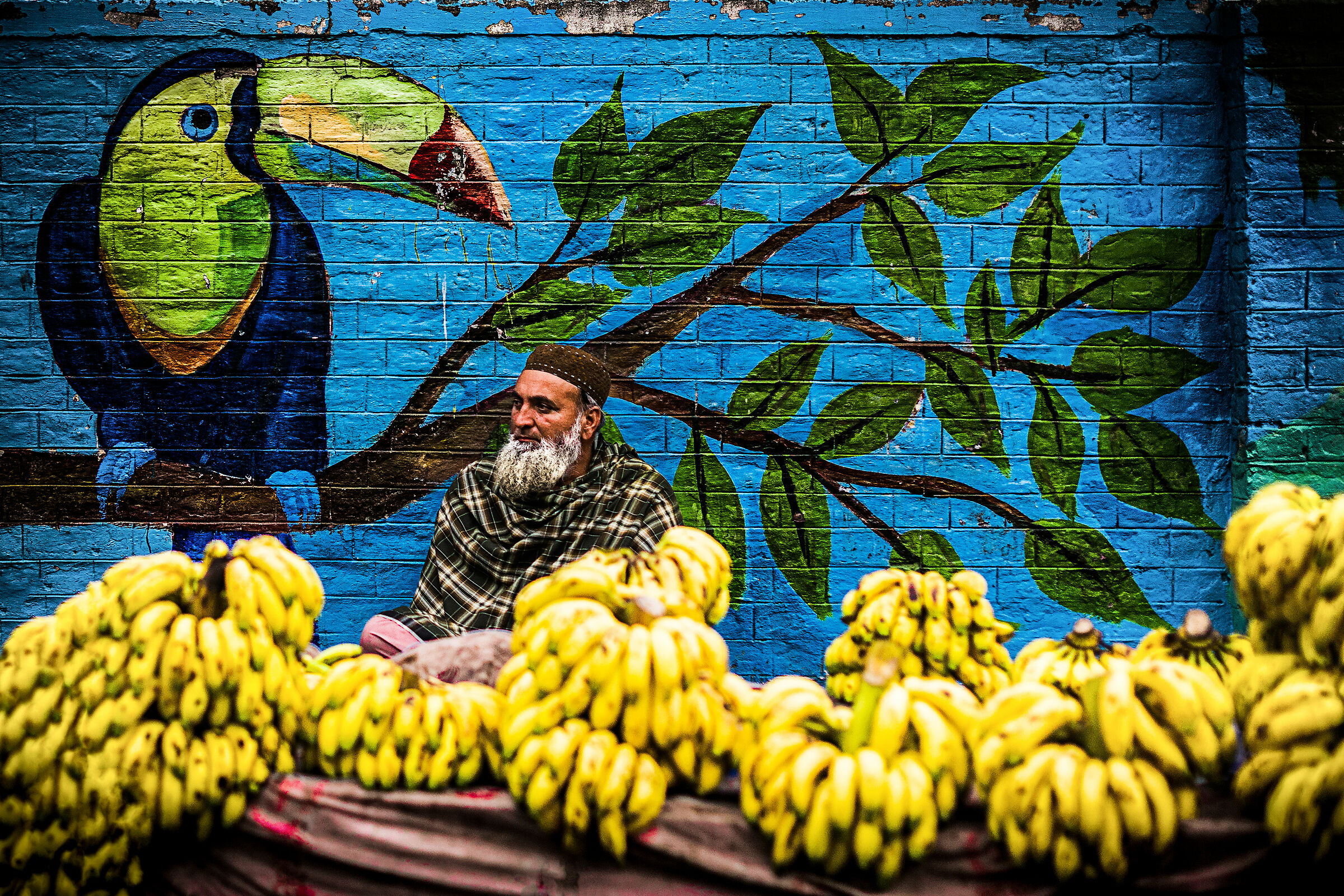 The Banana Merchant