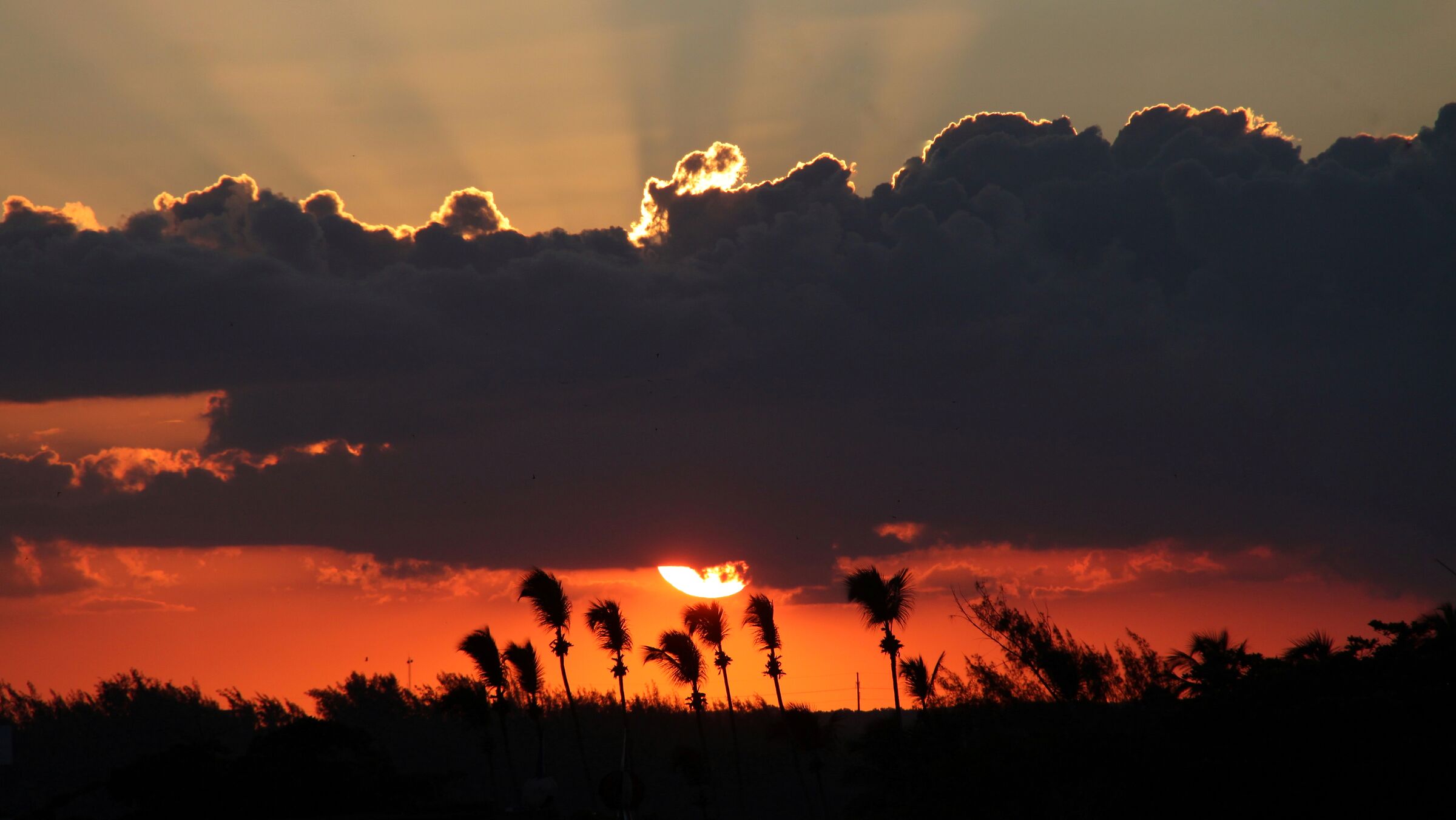 Year's head of the Caribbean R.D.