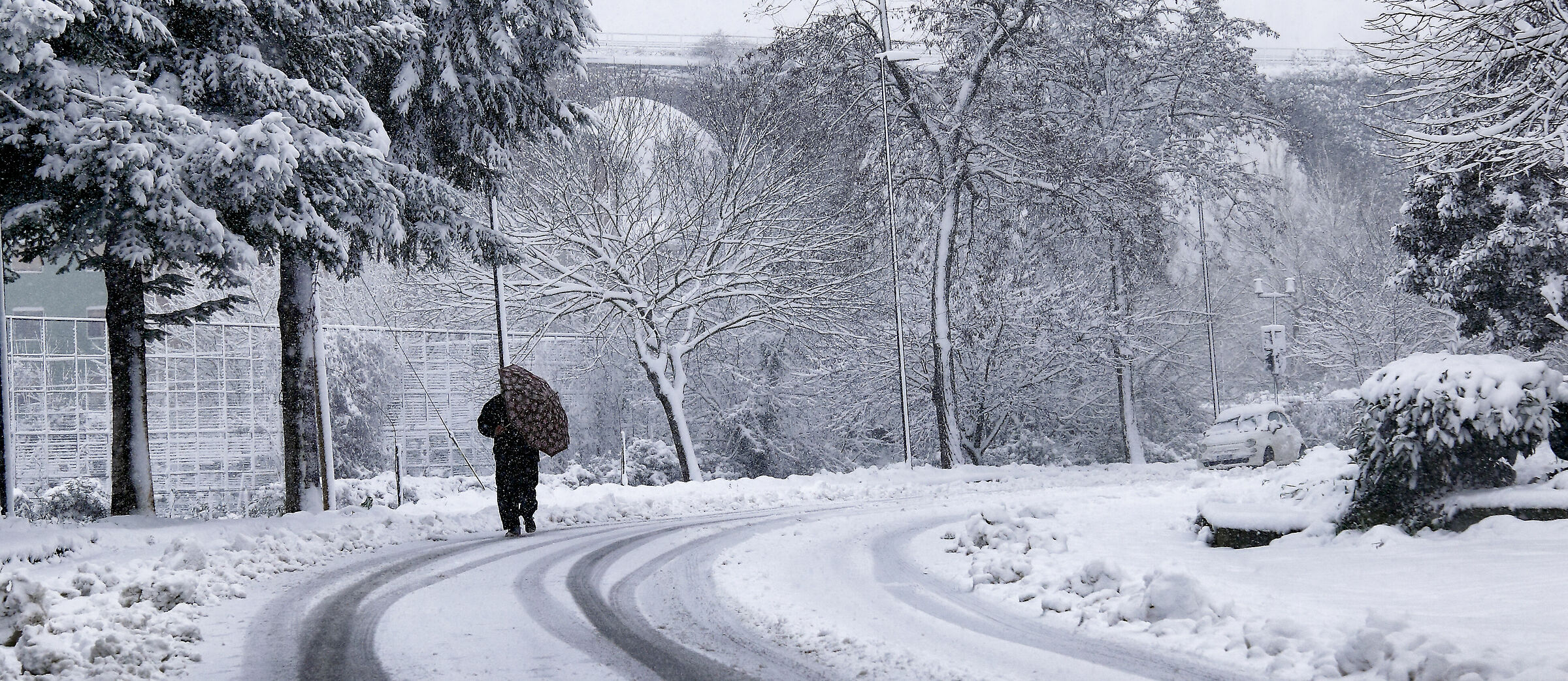 La solitudine della neve