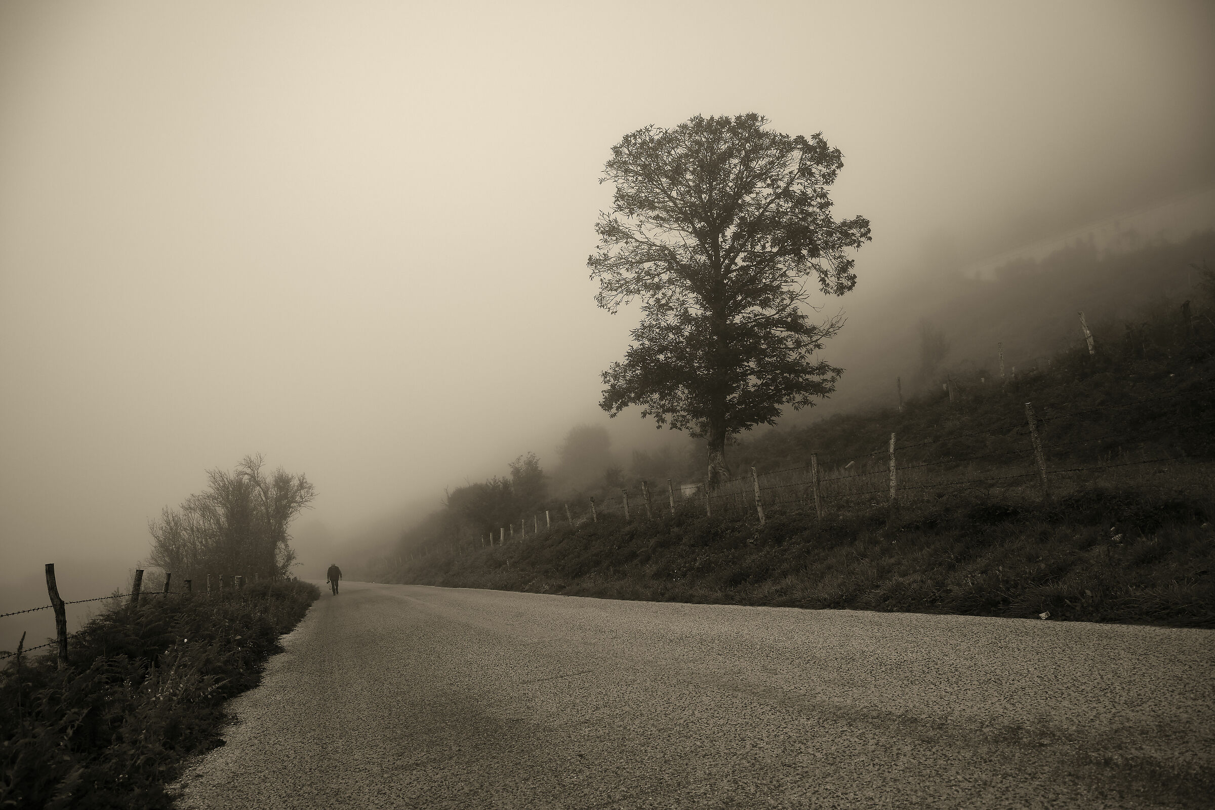 Figure e forme nella nebbia