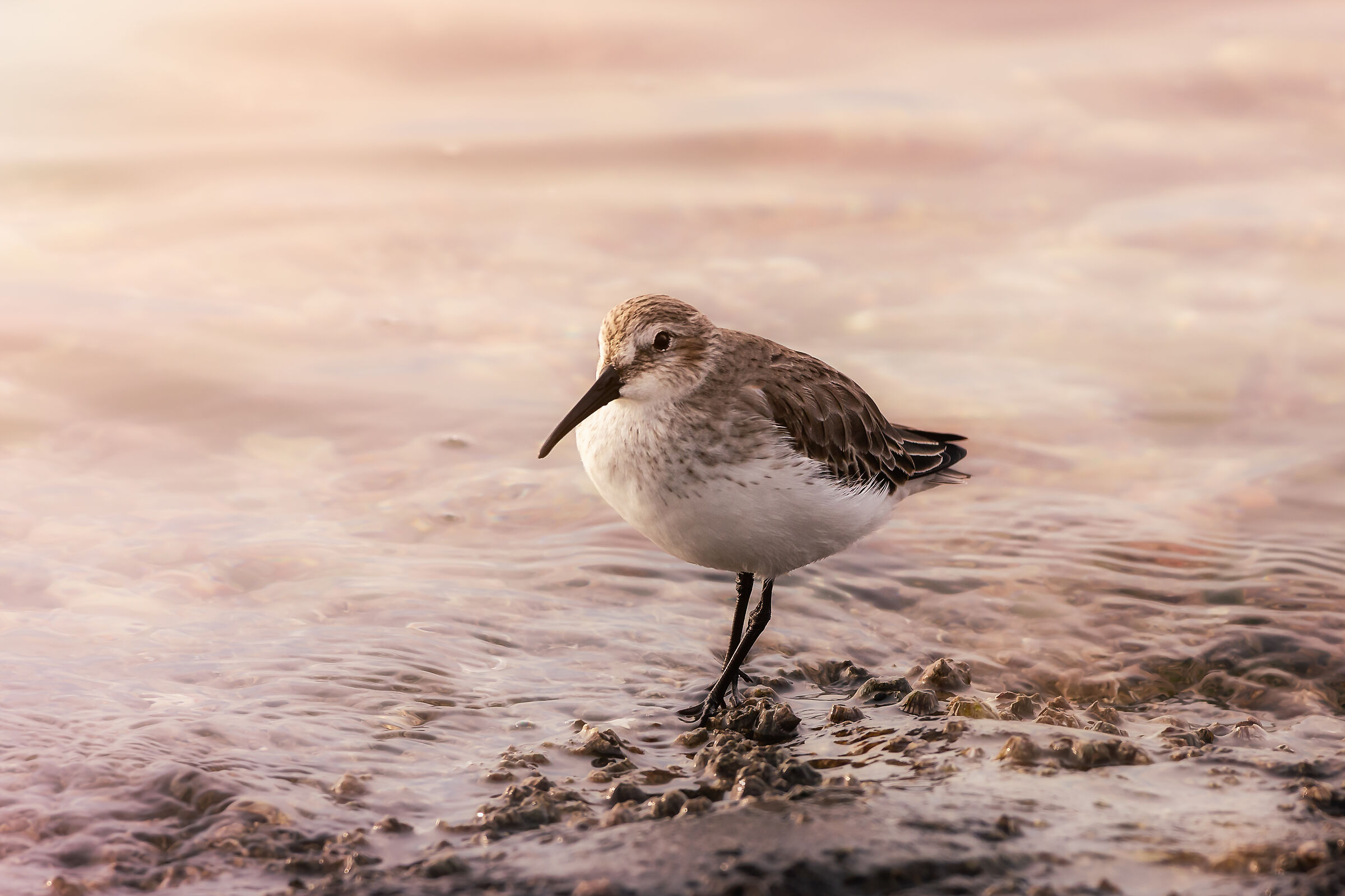 First morning of 2020