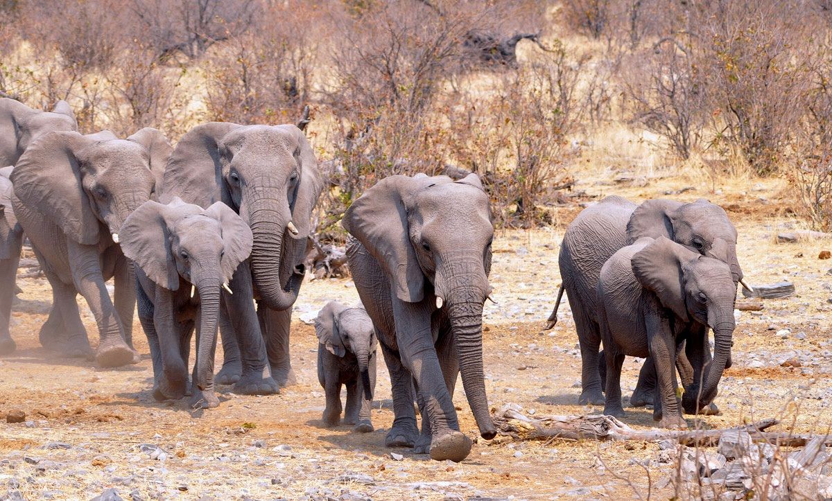 A passo veloce verso l'acqua...