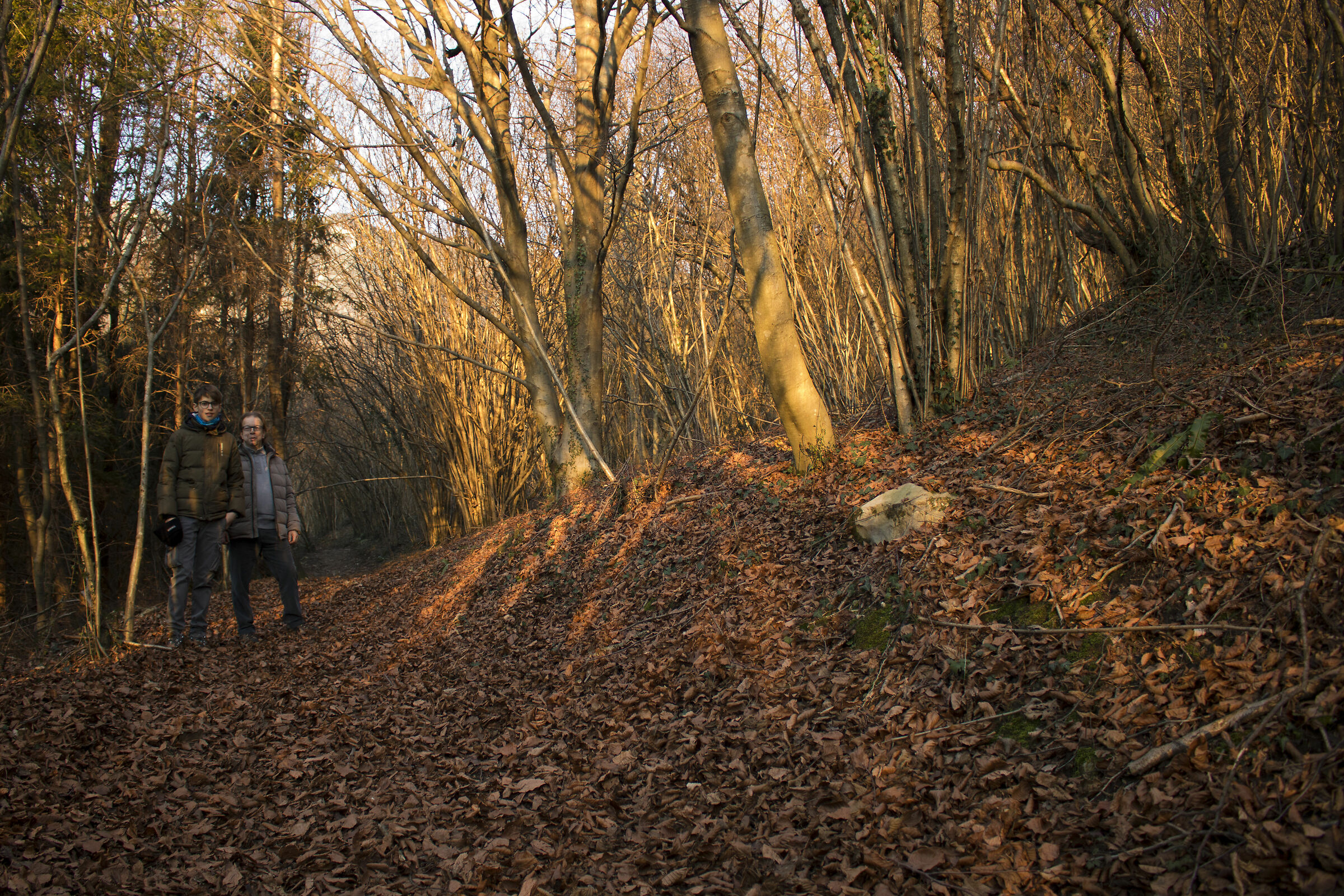 Grotte del Caglieron (Fregona)