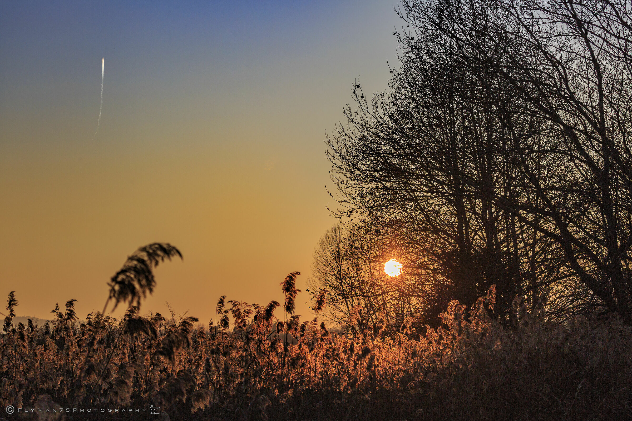 Tramonto all'Oasi delle Torbiere del Lago di Iseo (bs)