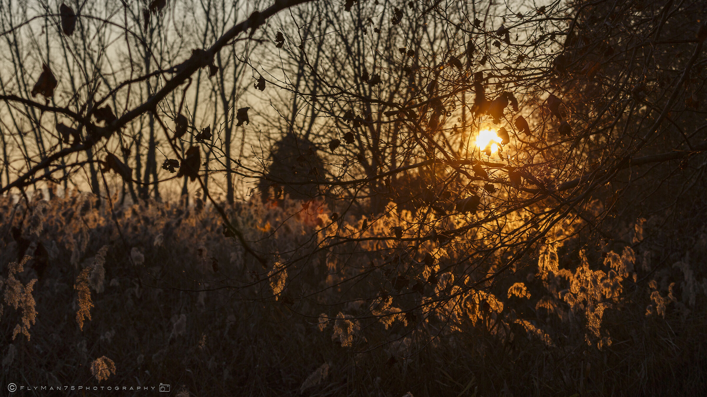 Tramonto all'Oasi delle Torbiere del Lago di Iseo (bs)