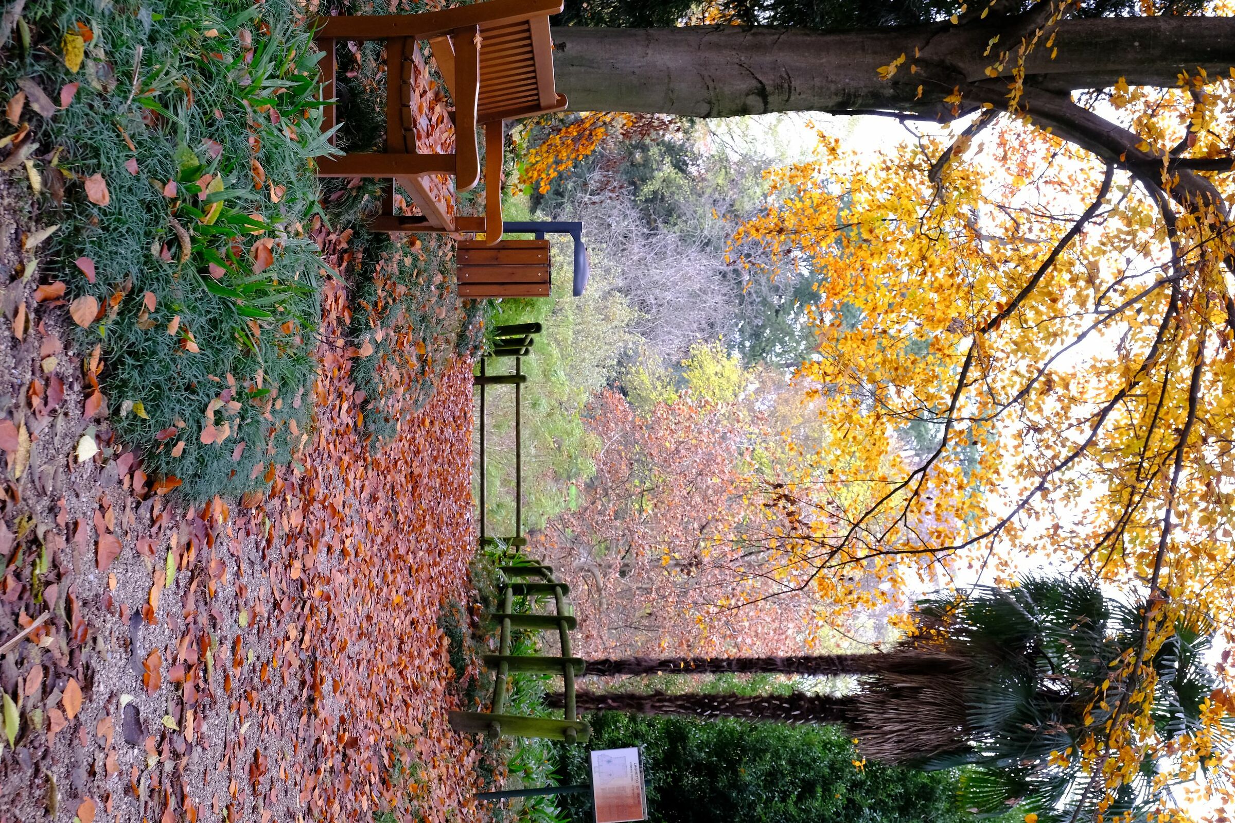 Villa Manin ithe park in autumn