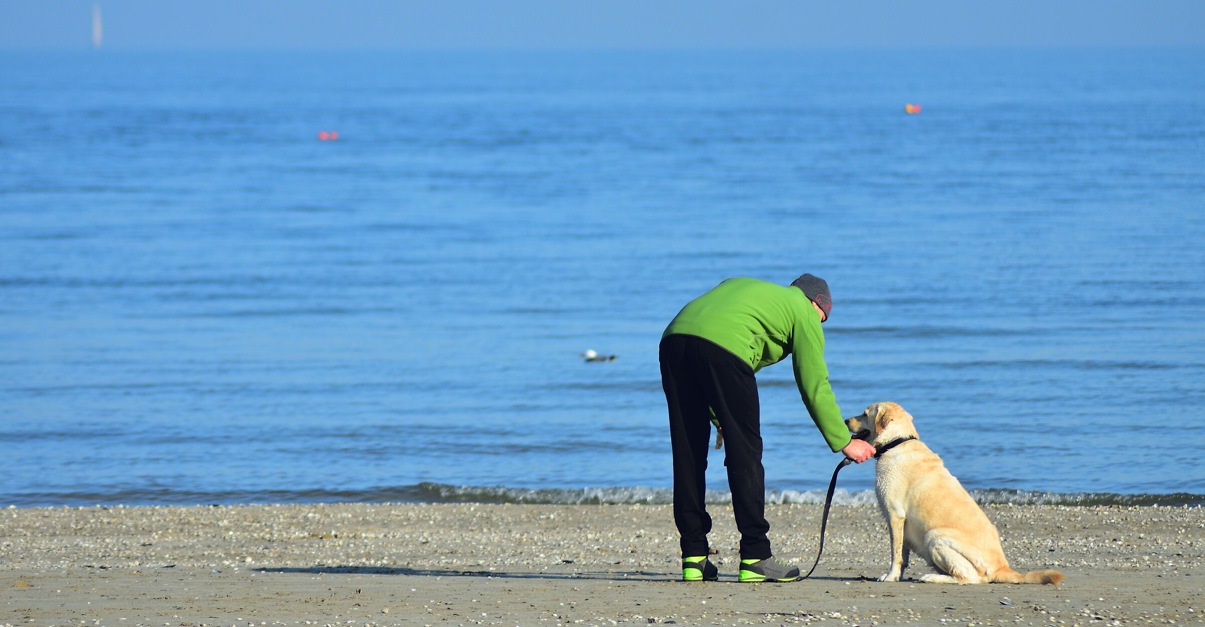 Beach games