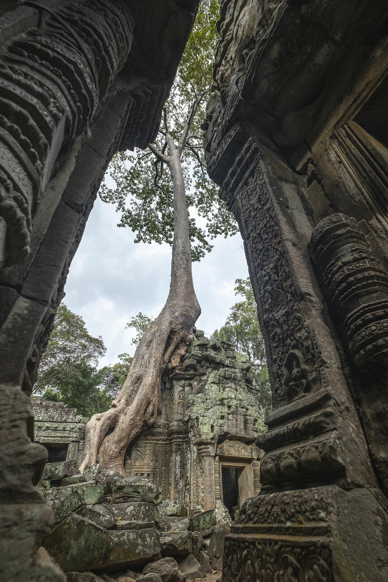 Angkor temple