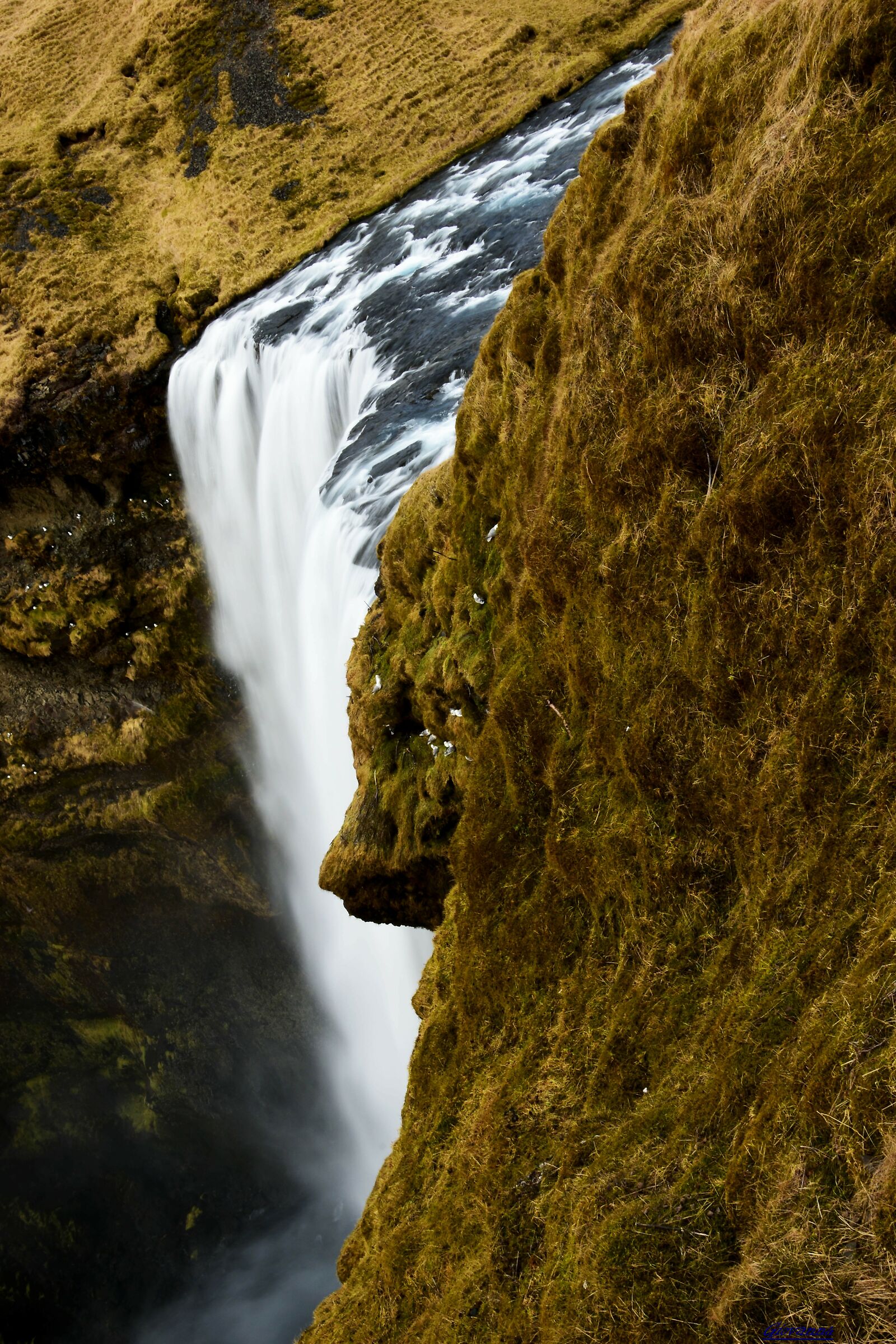 Are you ready to jump?