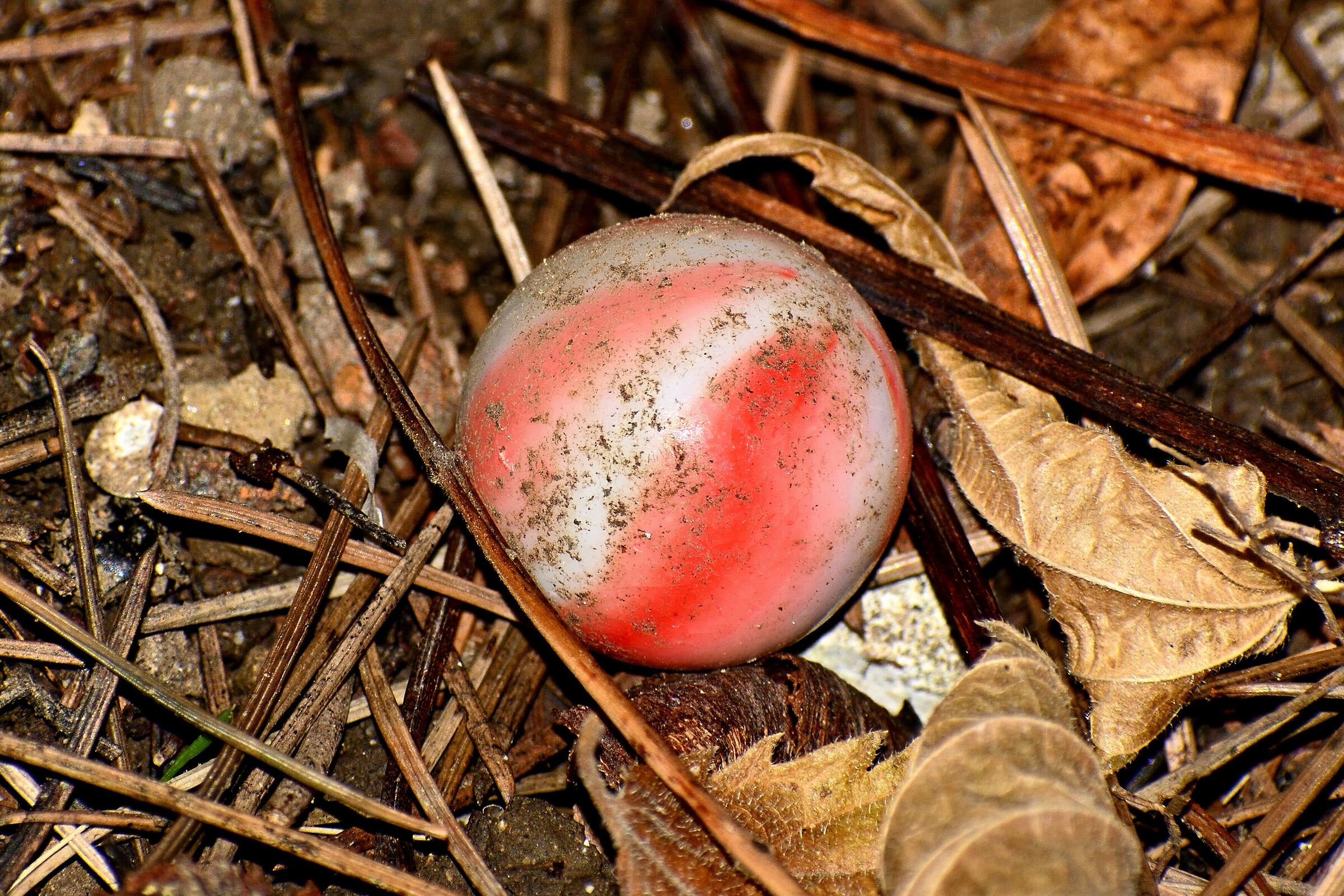 Giochi di un tempo...