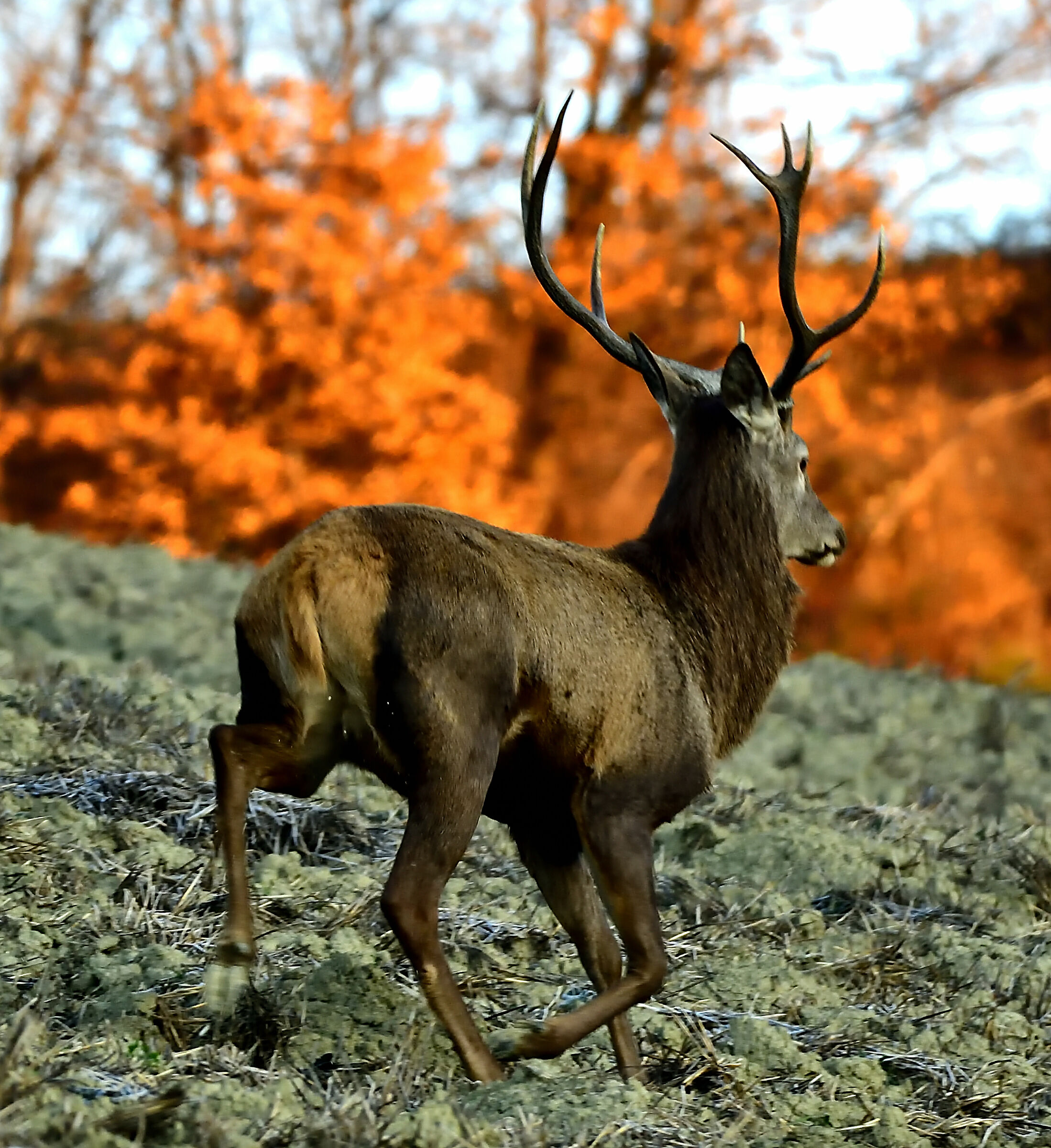 Presto che è tardi...