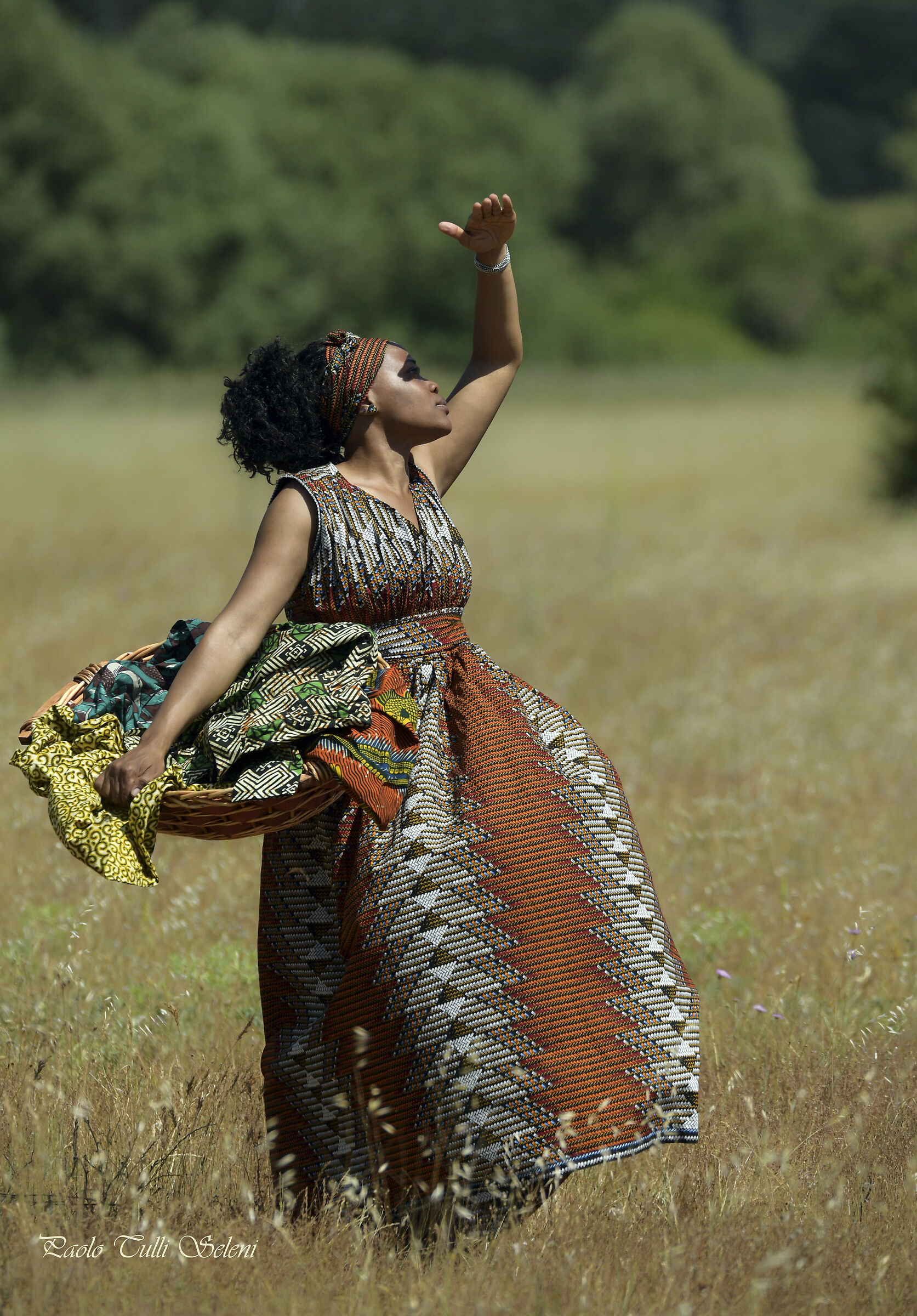 La vita nella Savana