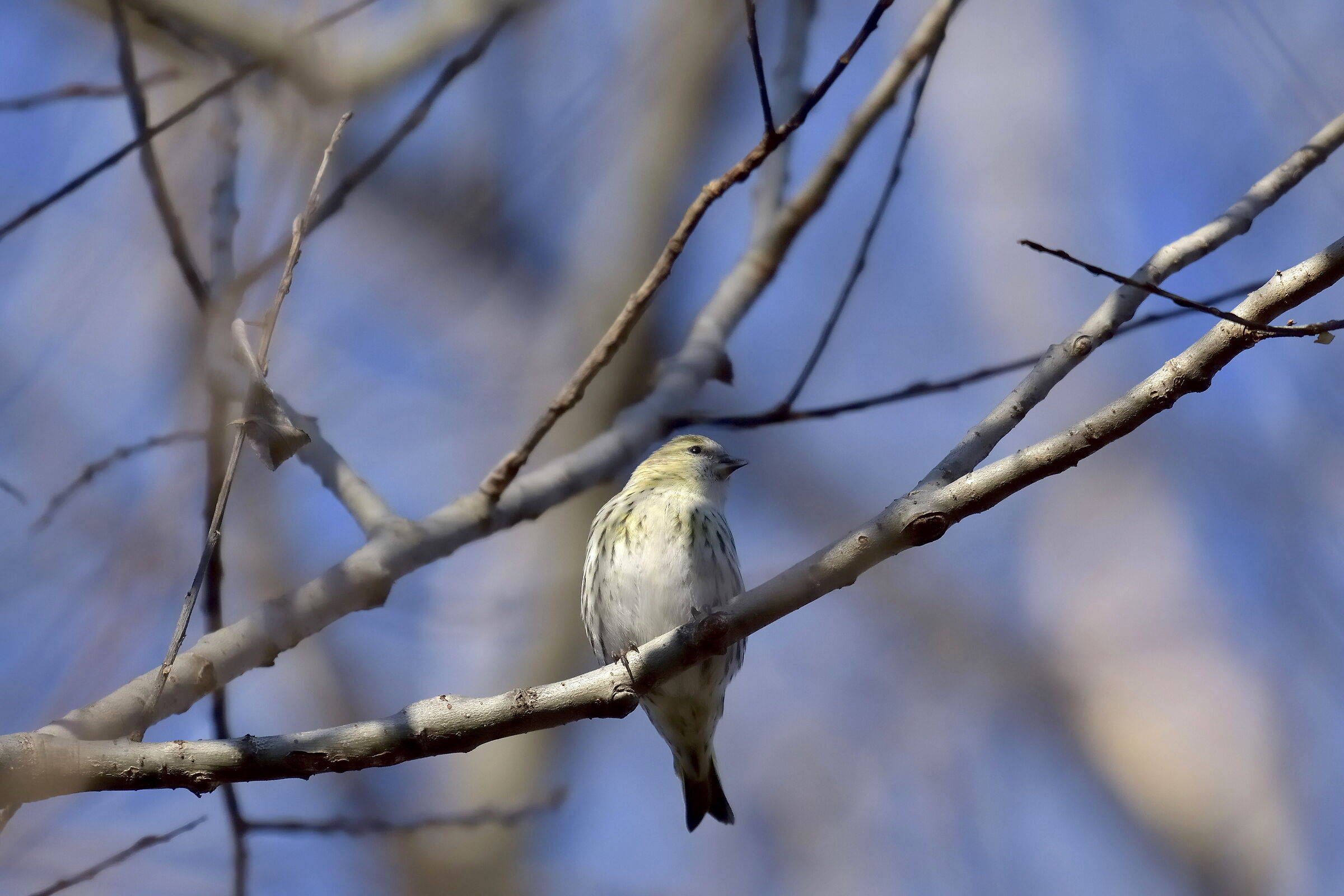 La mia più bella foto del 2020