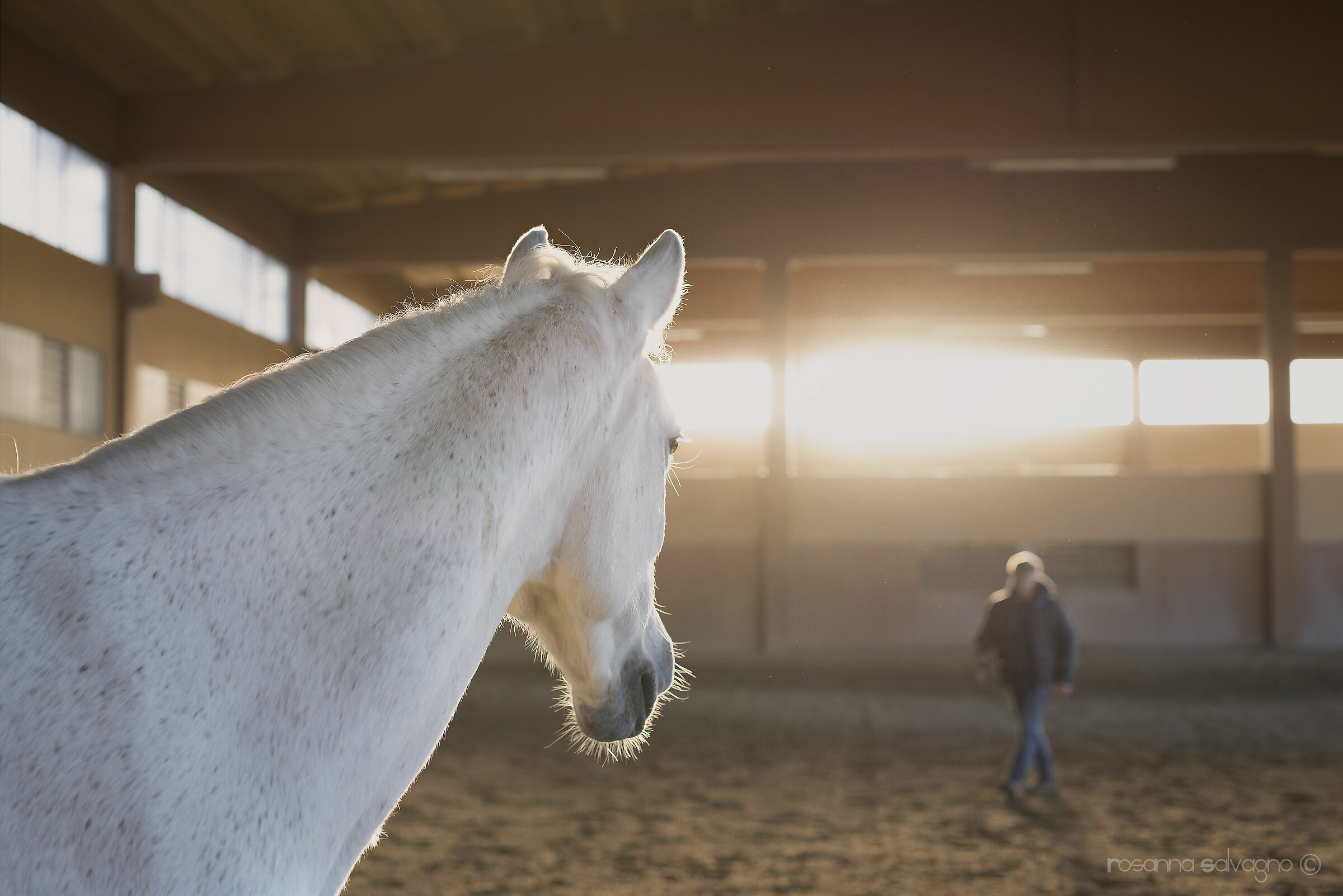 seen from another perspective