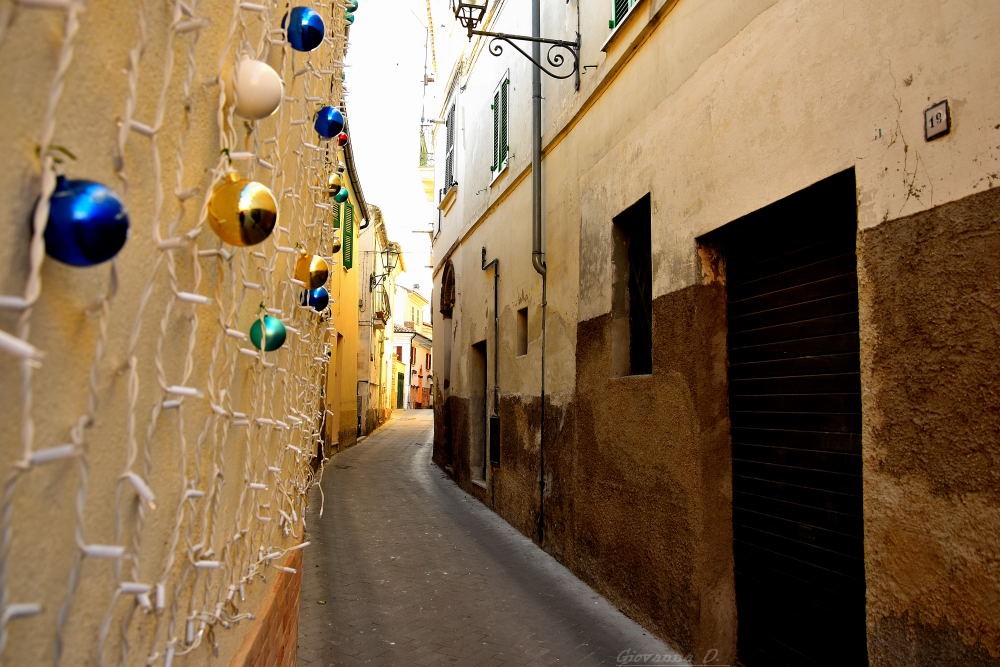 Il Natale è ovunque