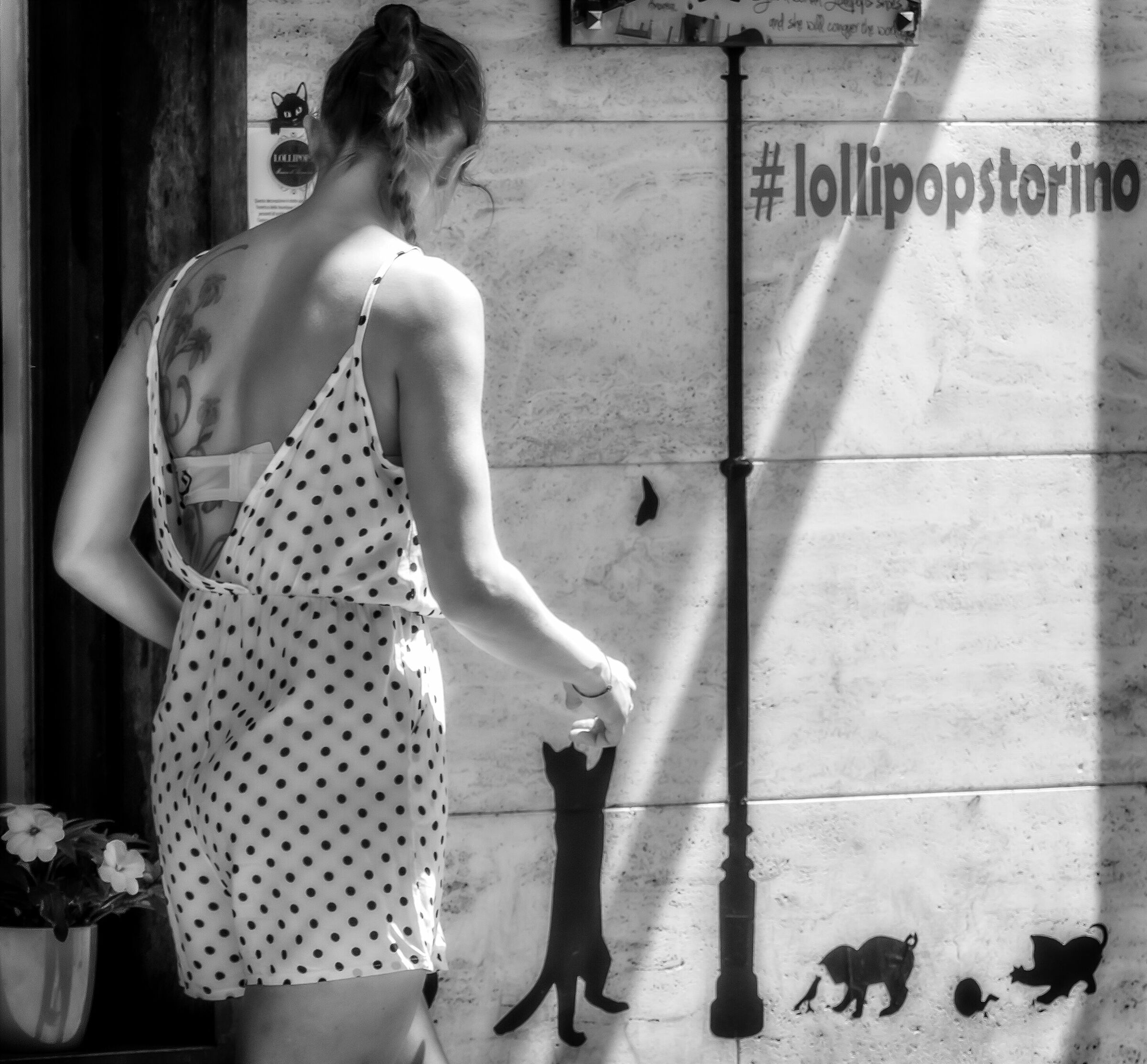 Watch out for the cat