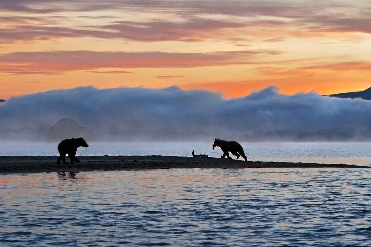 L' alba del mondo perduto