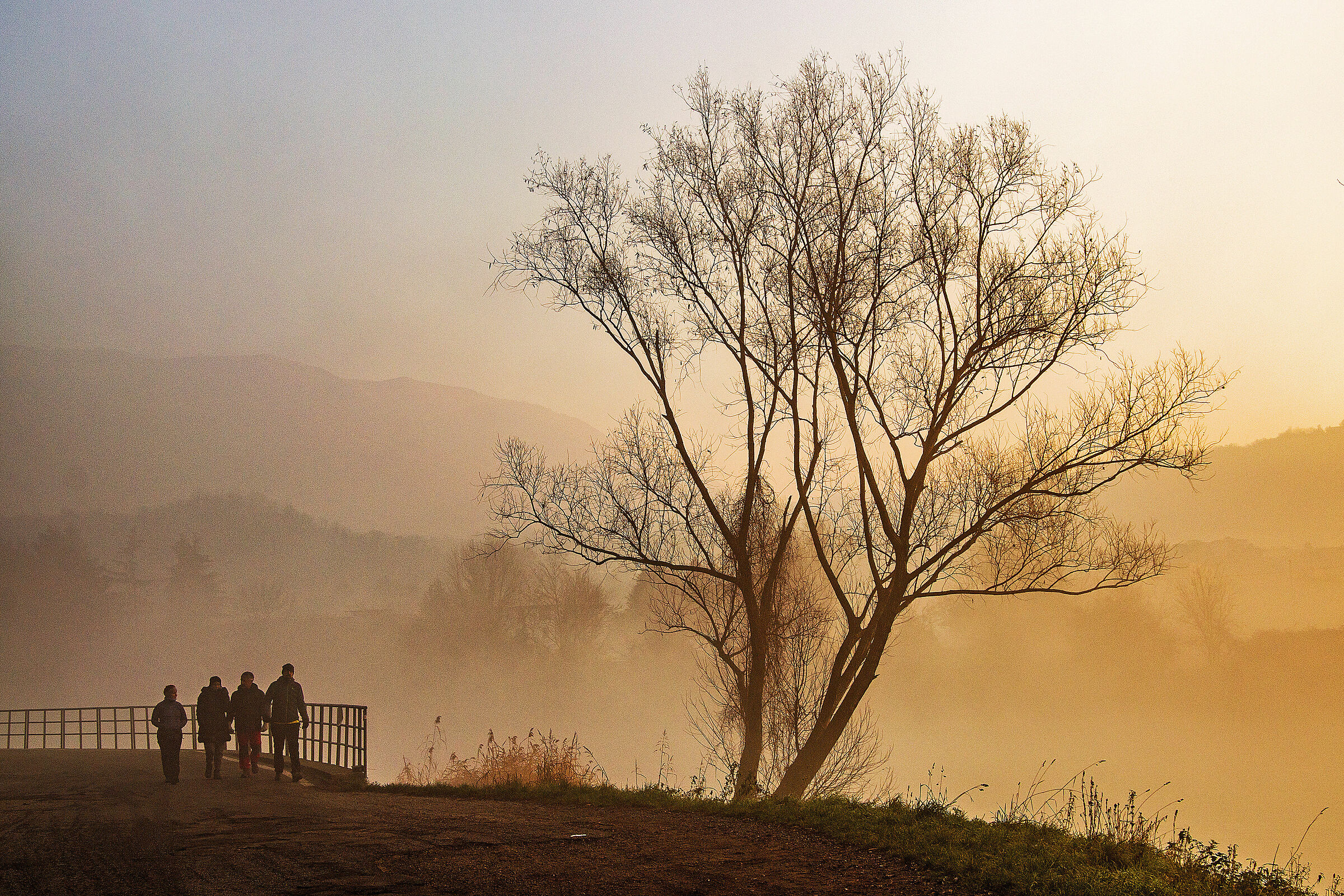 a spasso nella nebbia