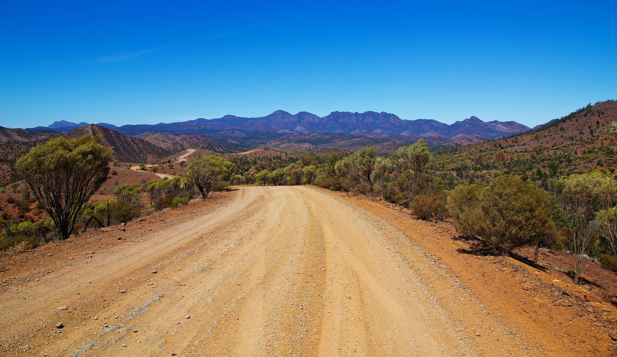 Road to Gorge Brachina
