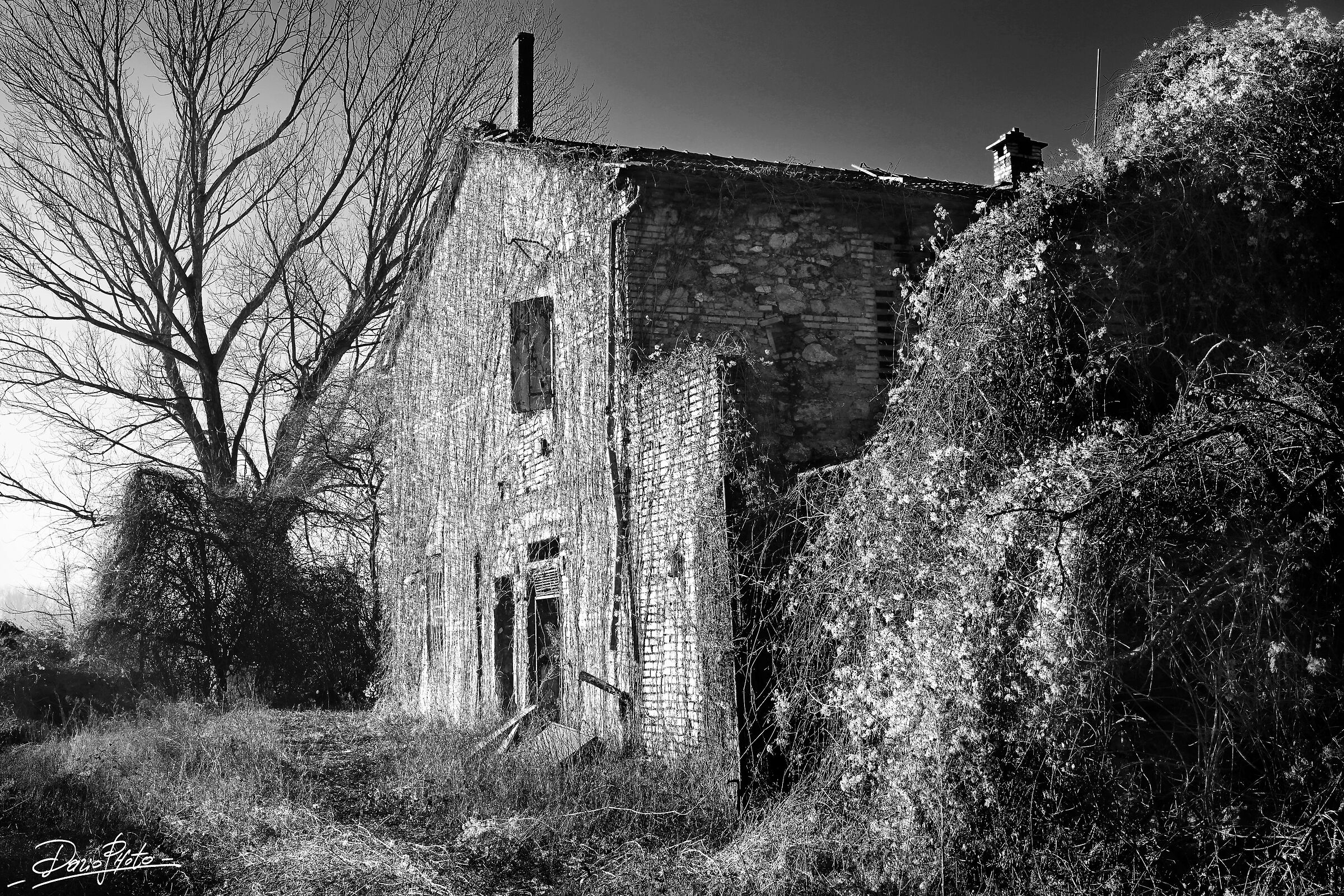 Abandoned farmhouse
