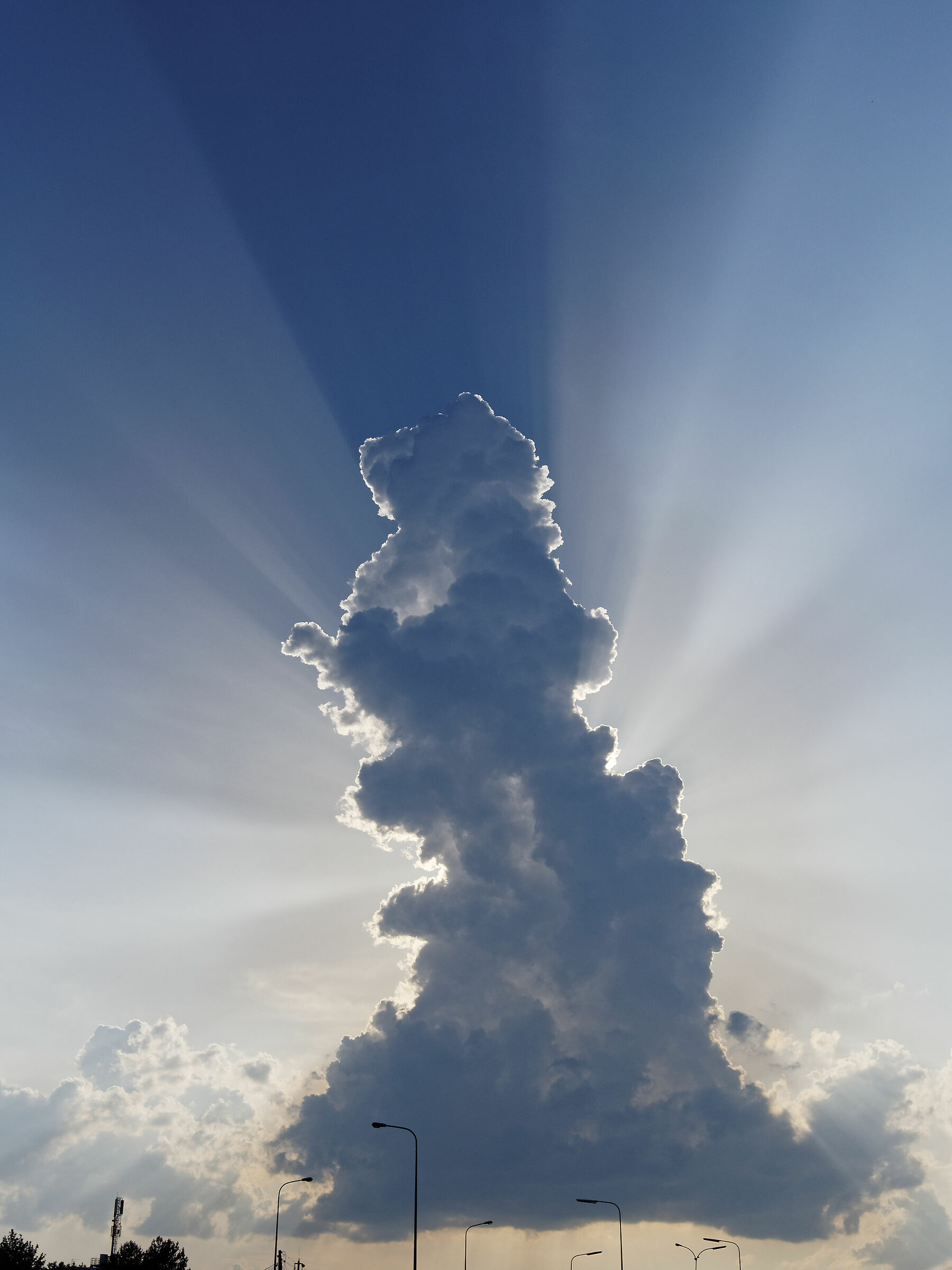 Sky Godzilla