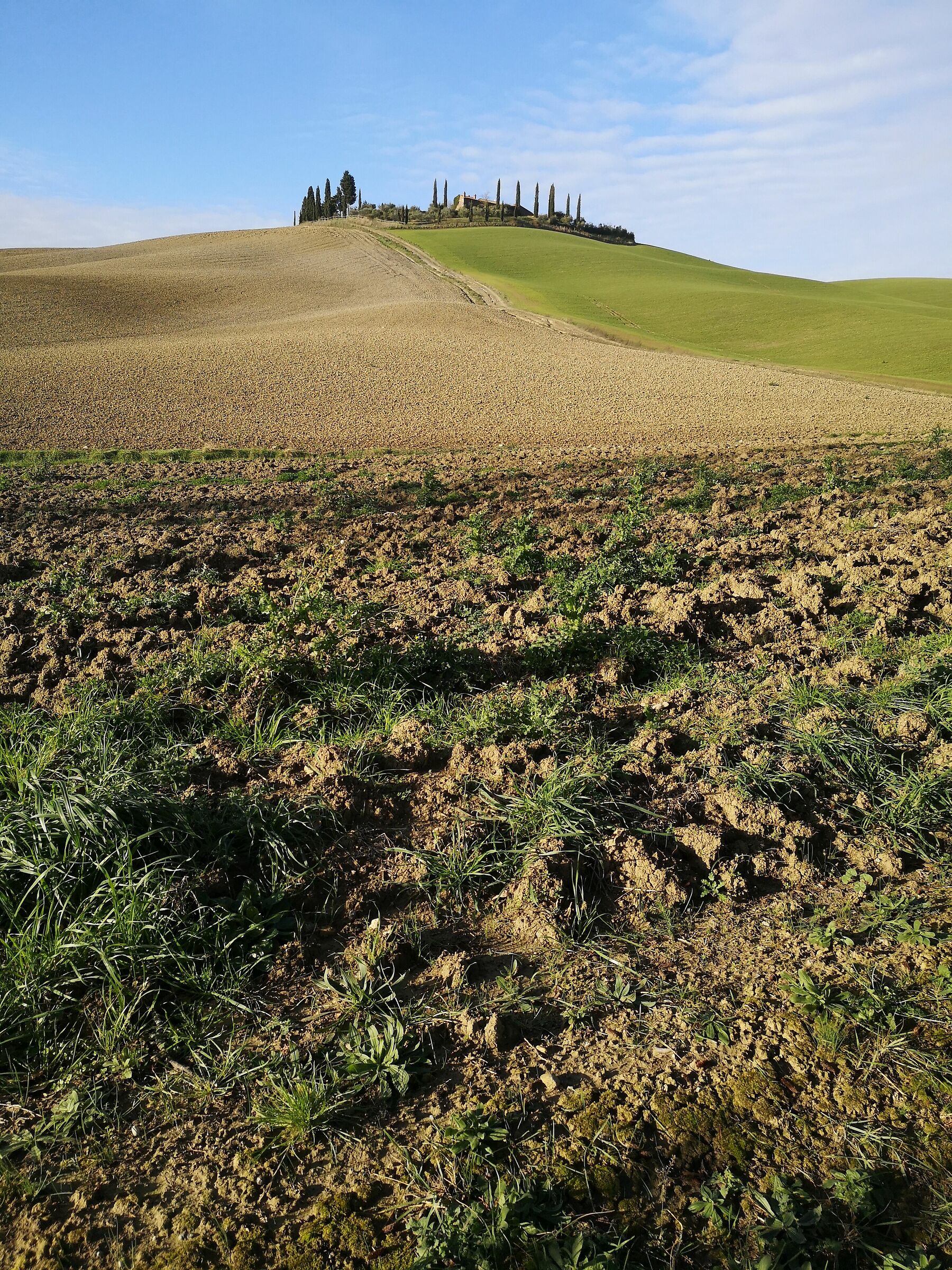 Val D'Orcia 04