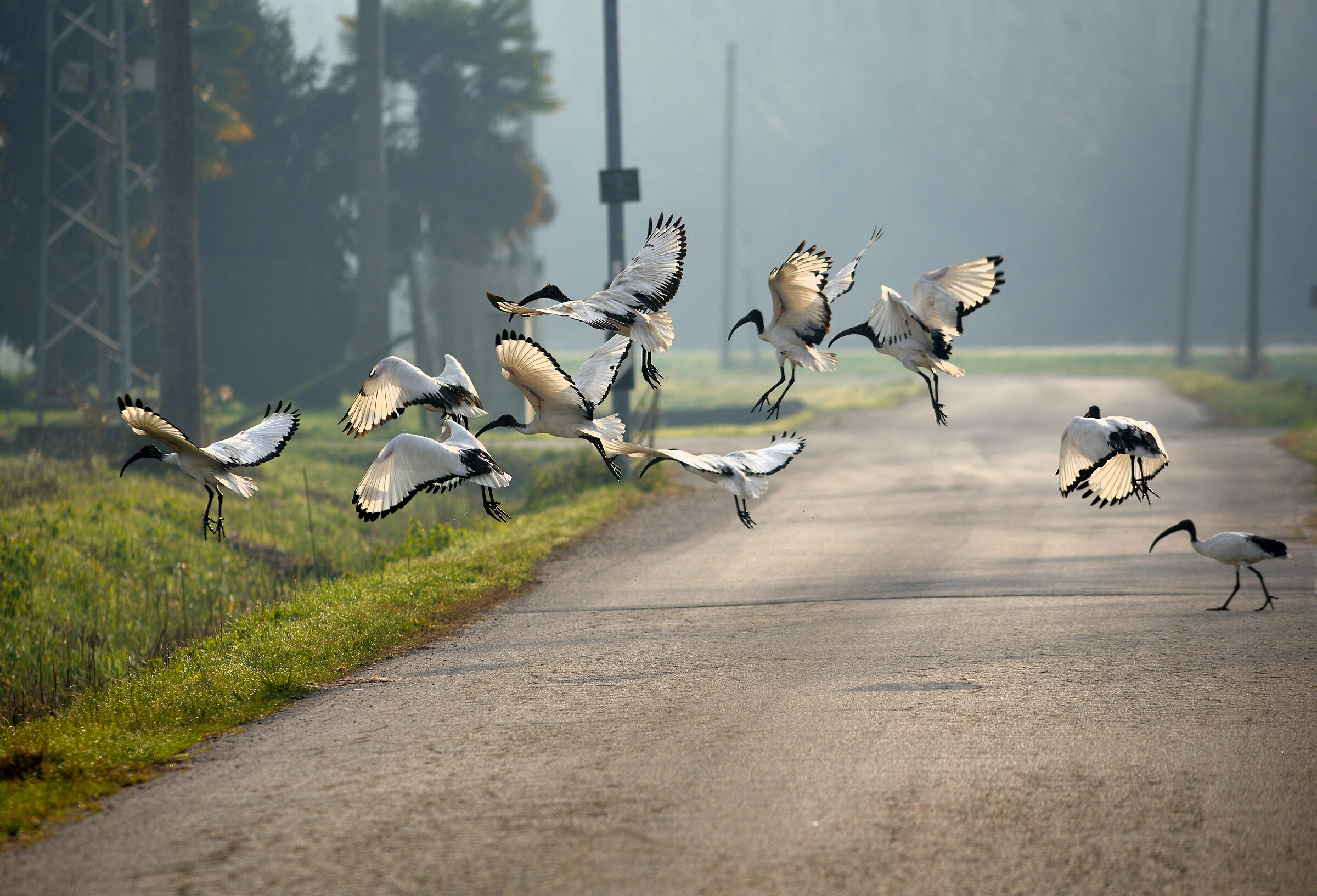 Crossing at fly and pass