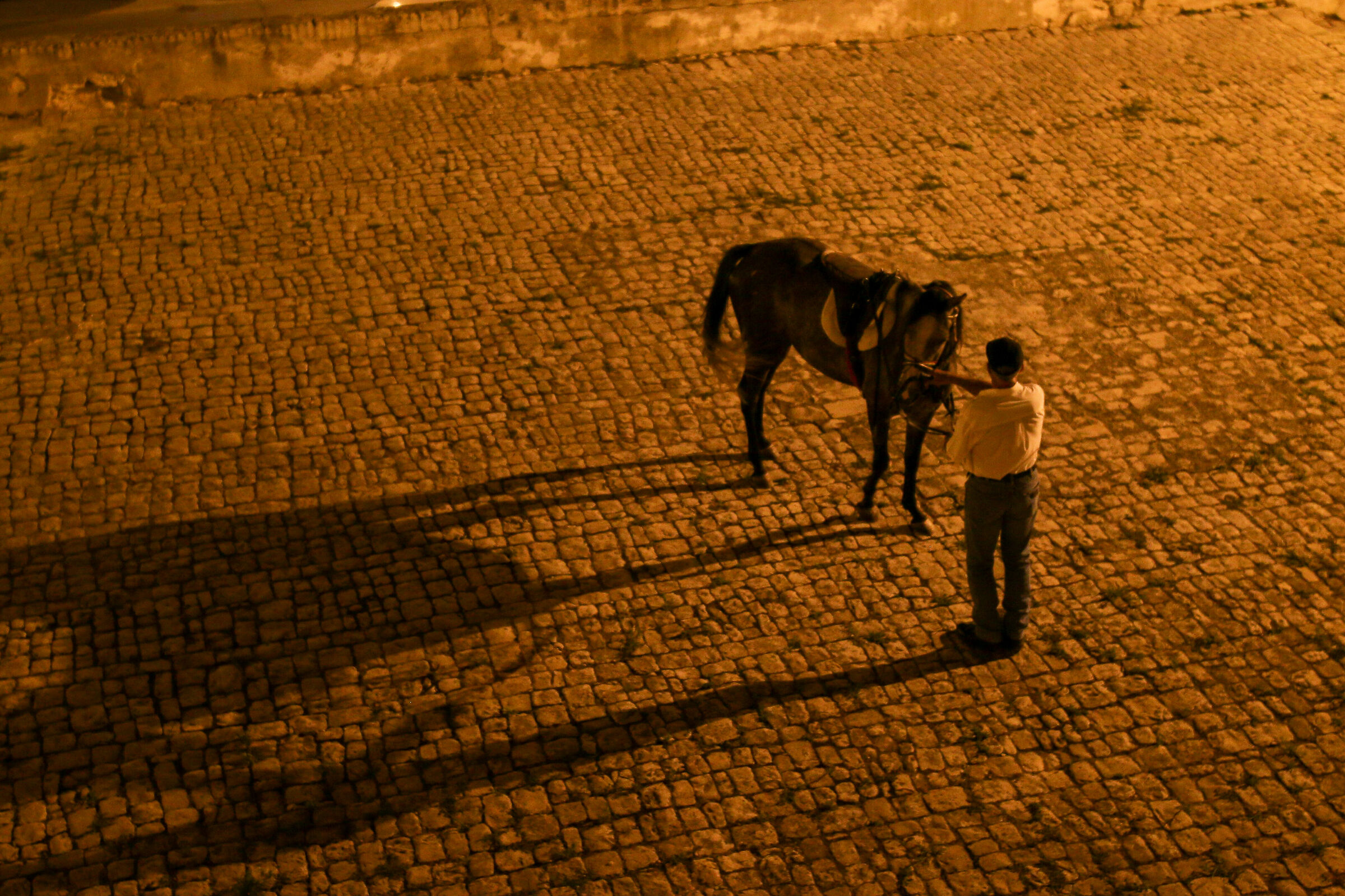 put a night in Sicily