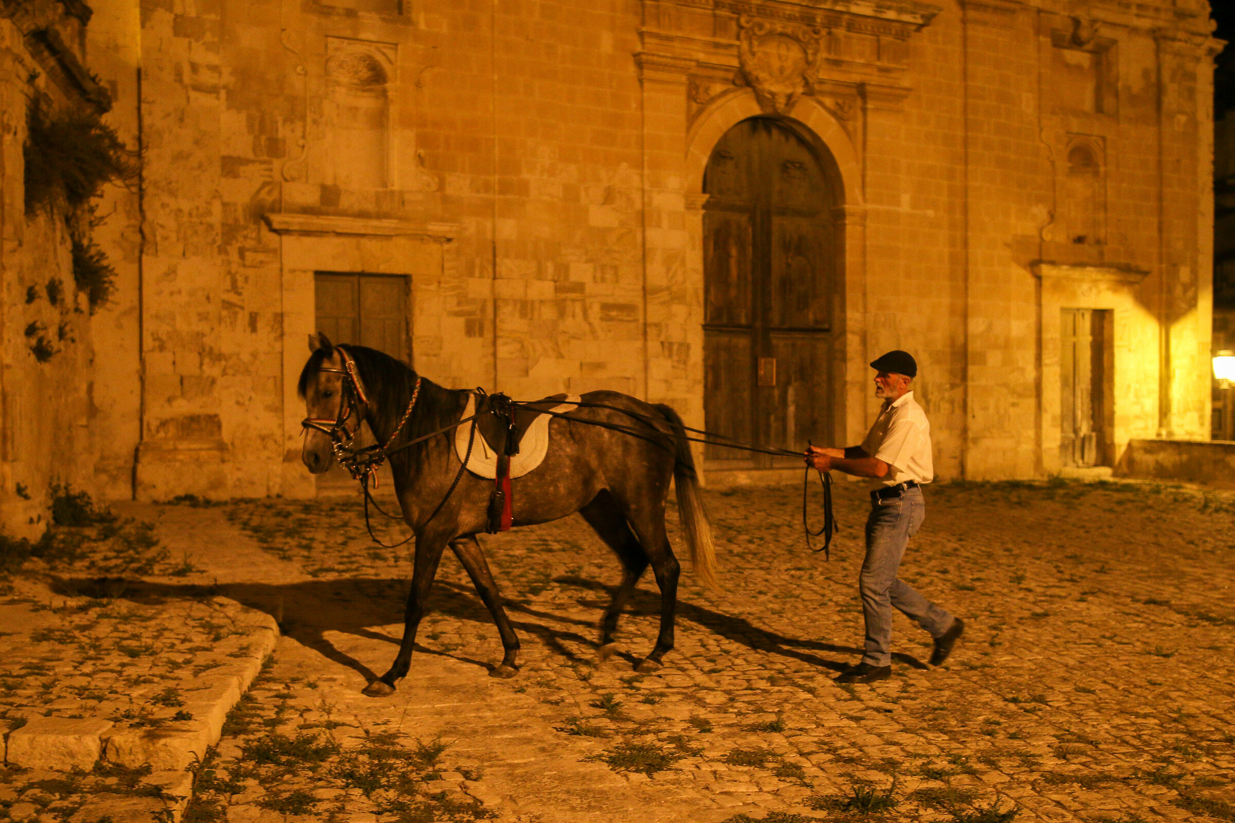addestramento notturno