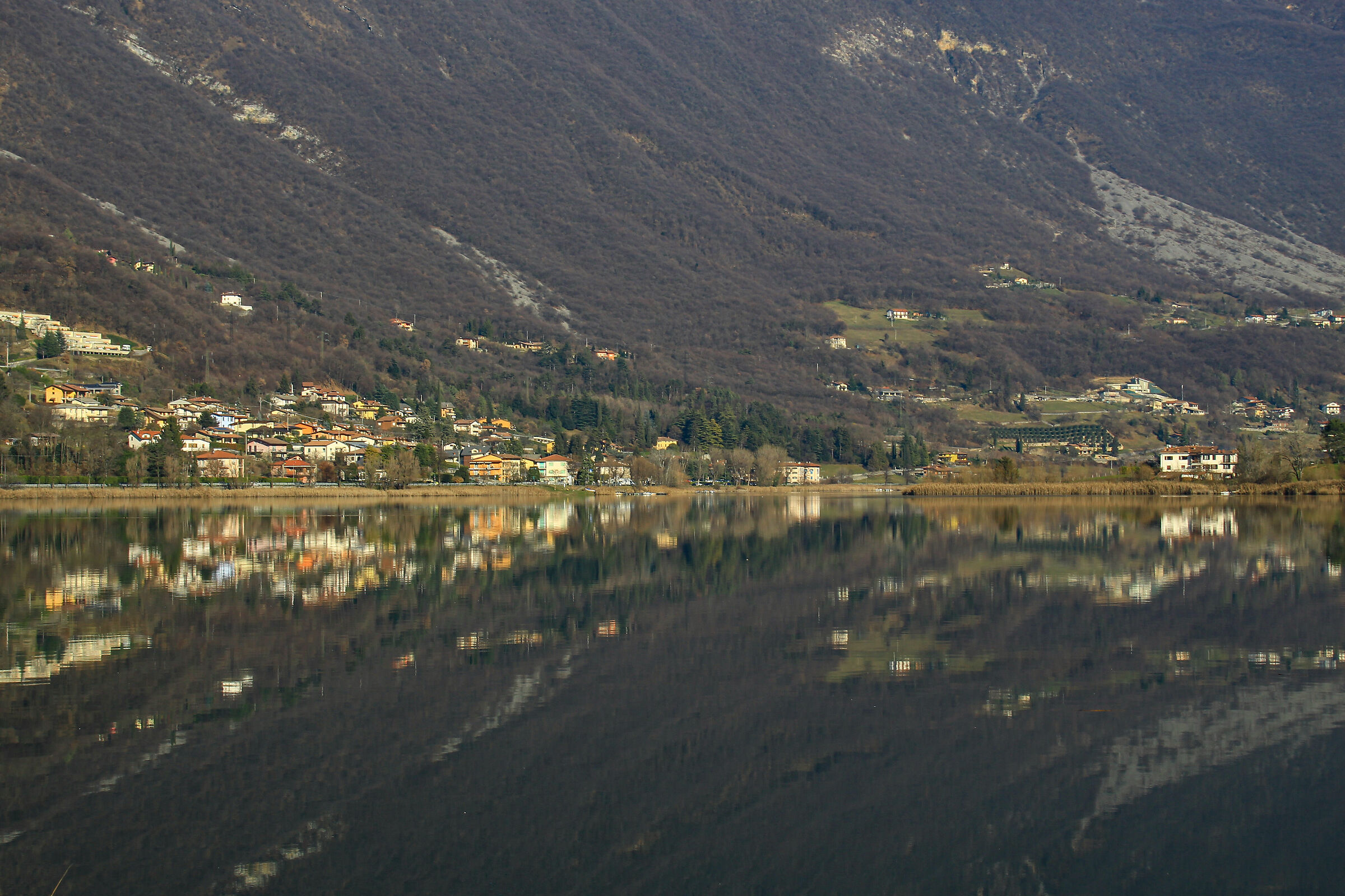 Riflessi di un nuovo anno