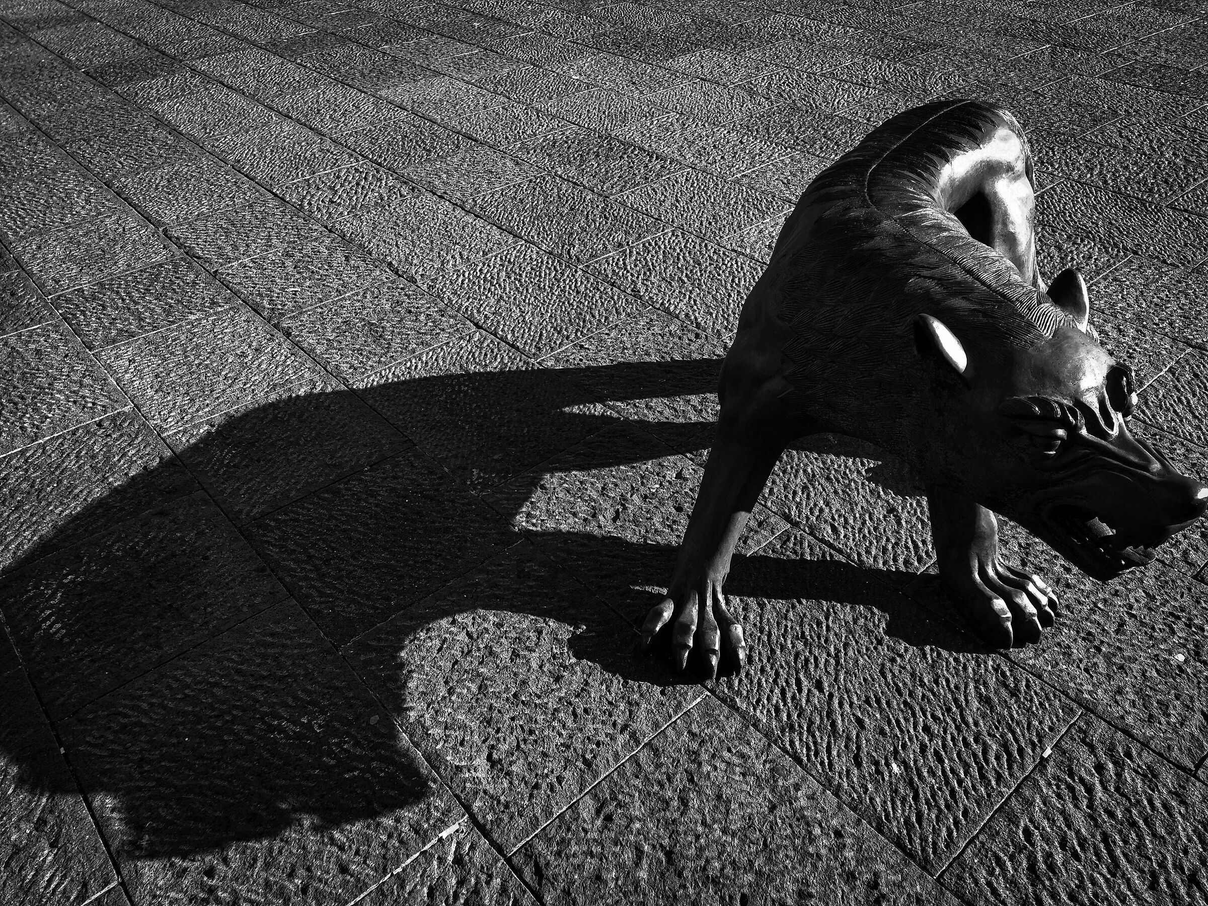 Liu Ruowang- The 100 Fierce Wolves of Naples