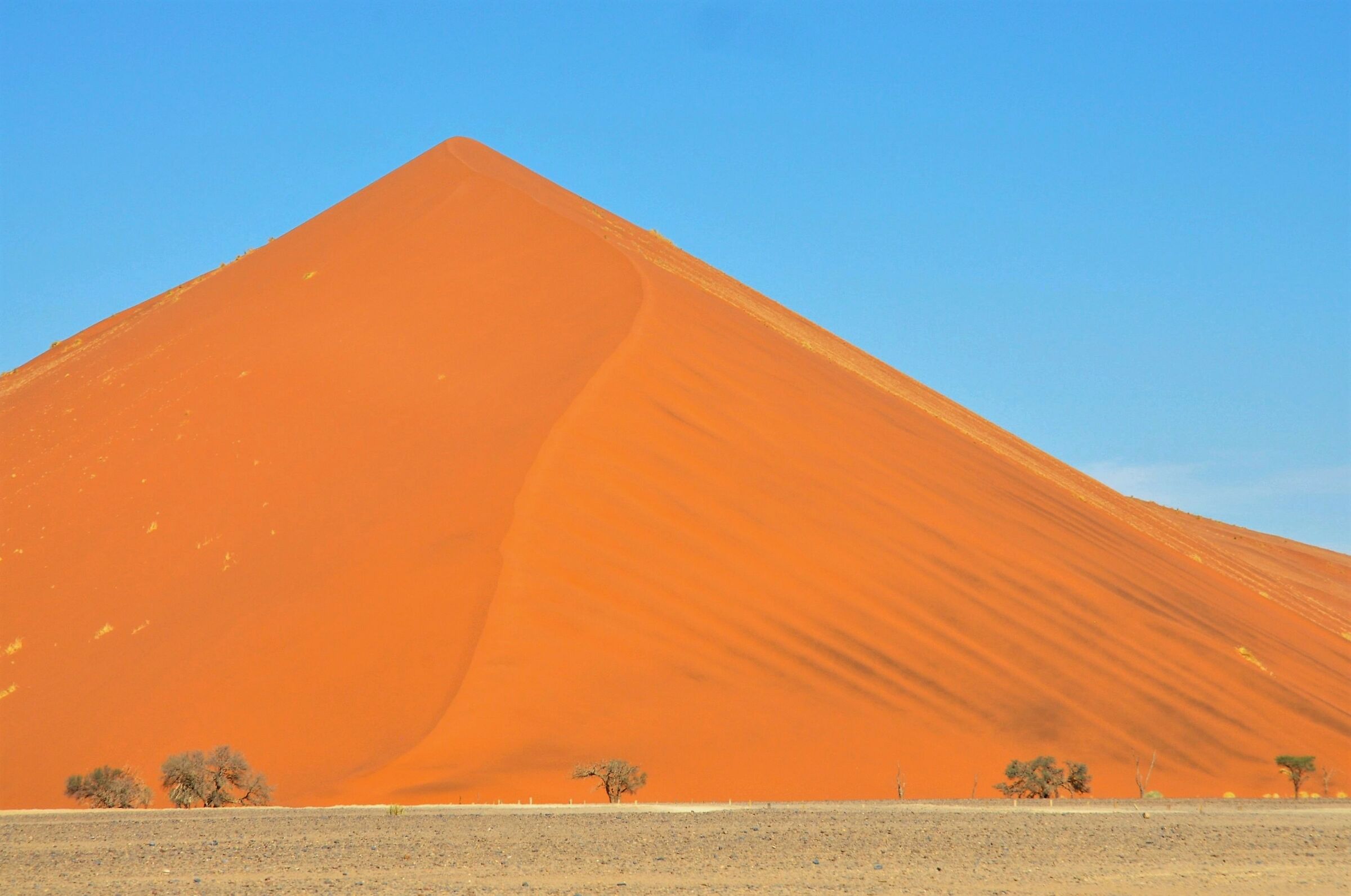 Namib Desert