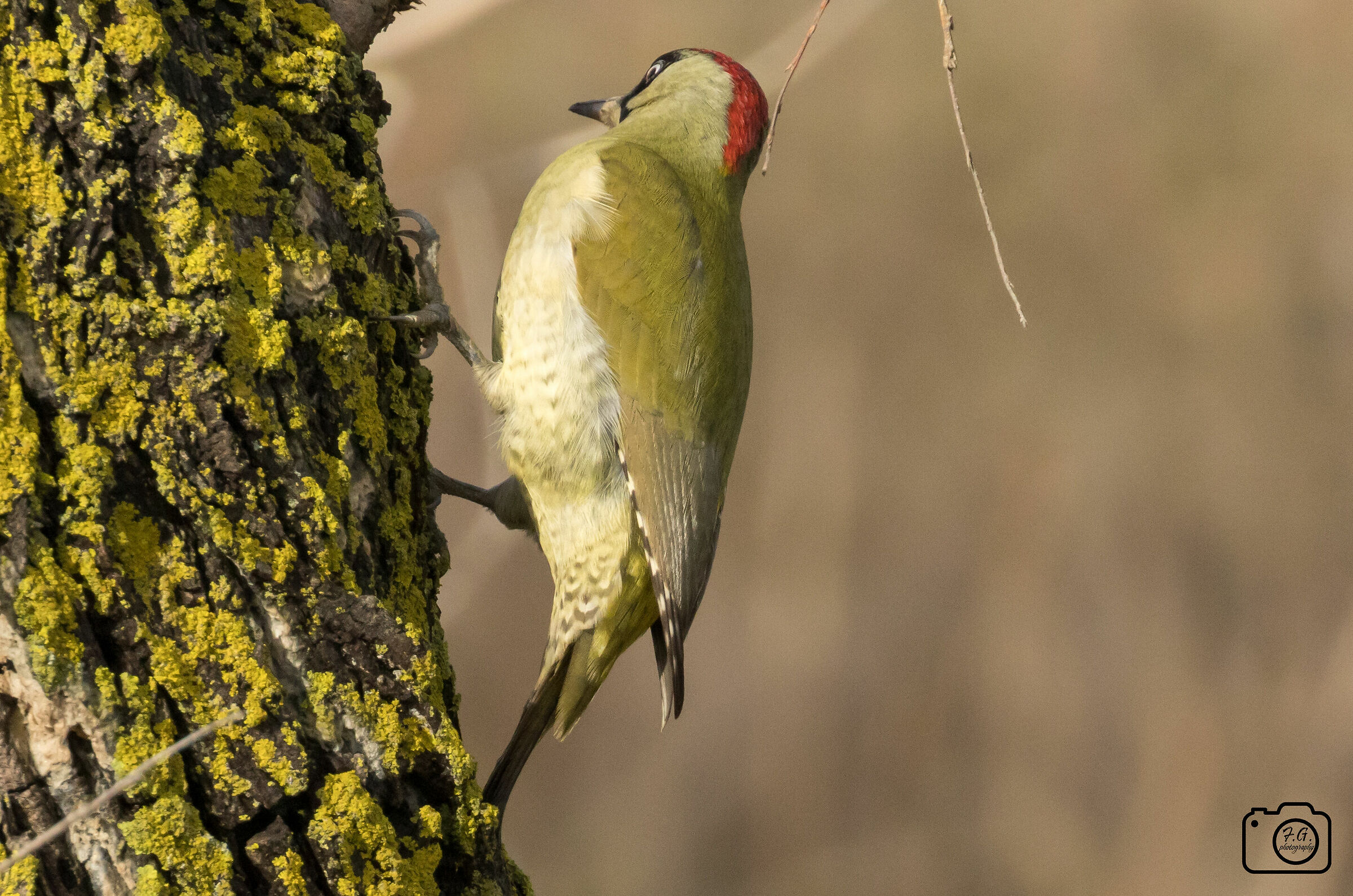 Dici a me?... Va bene la smetto!