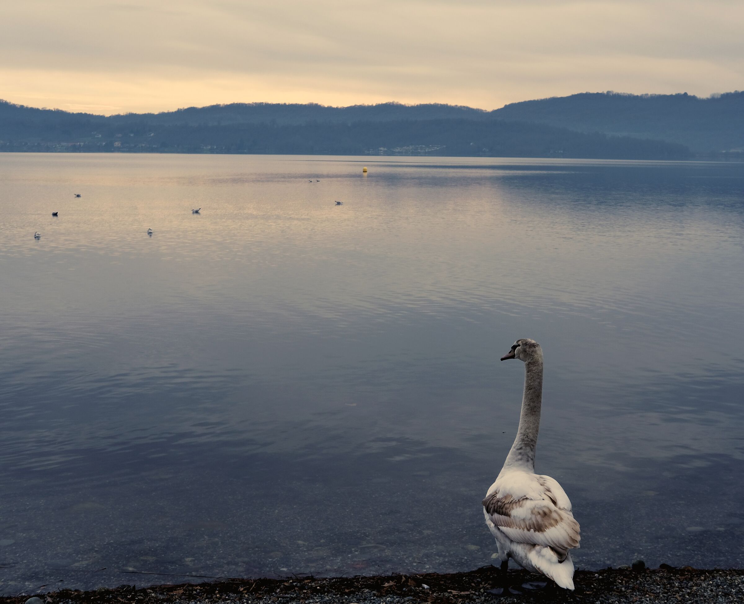 Meditando sulla riva