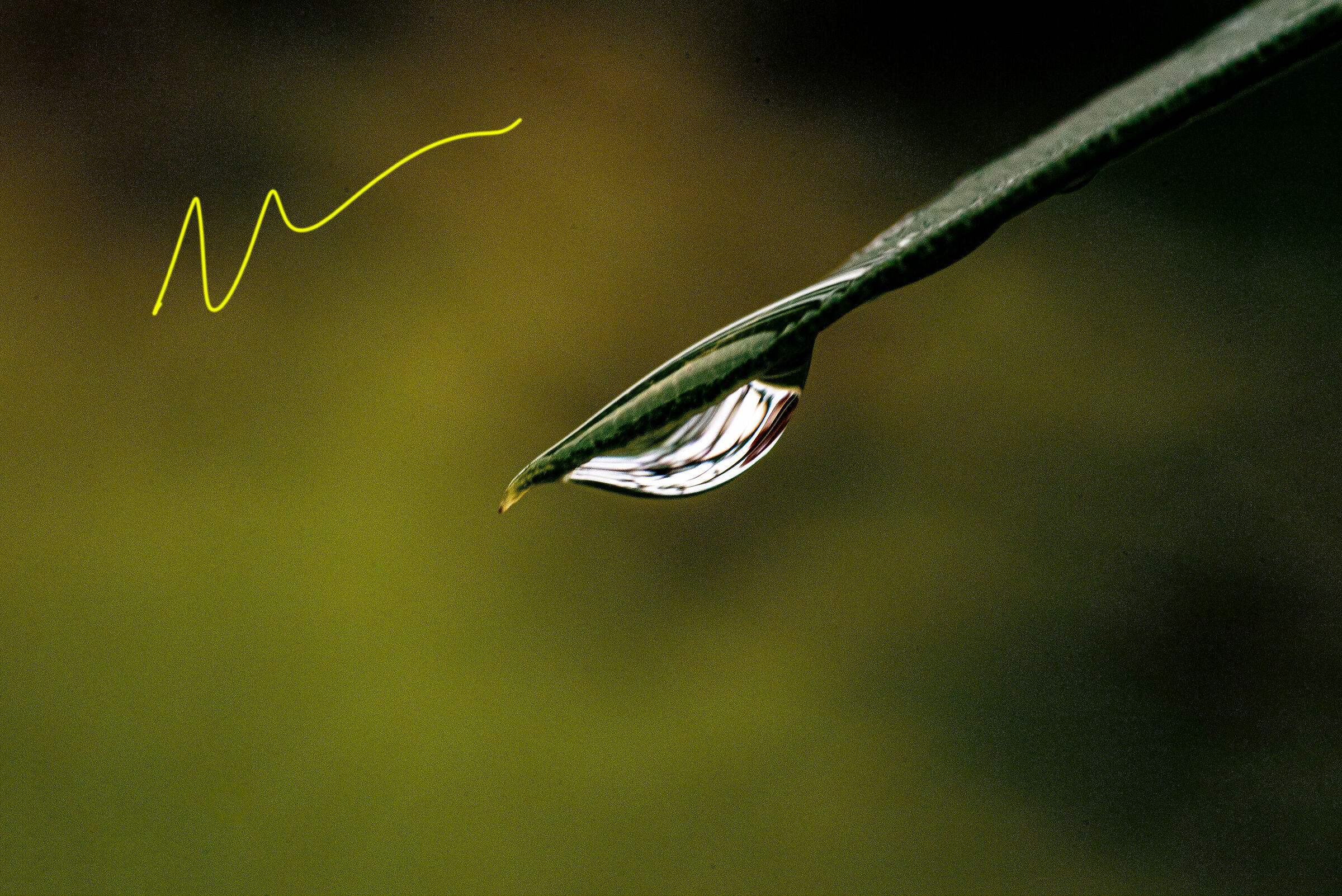 An arrow that brings life