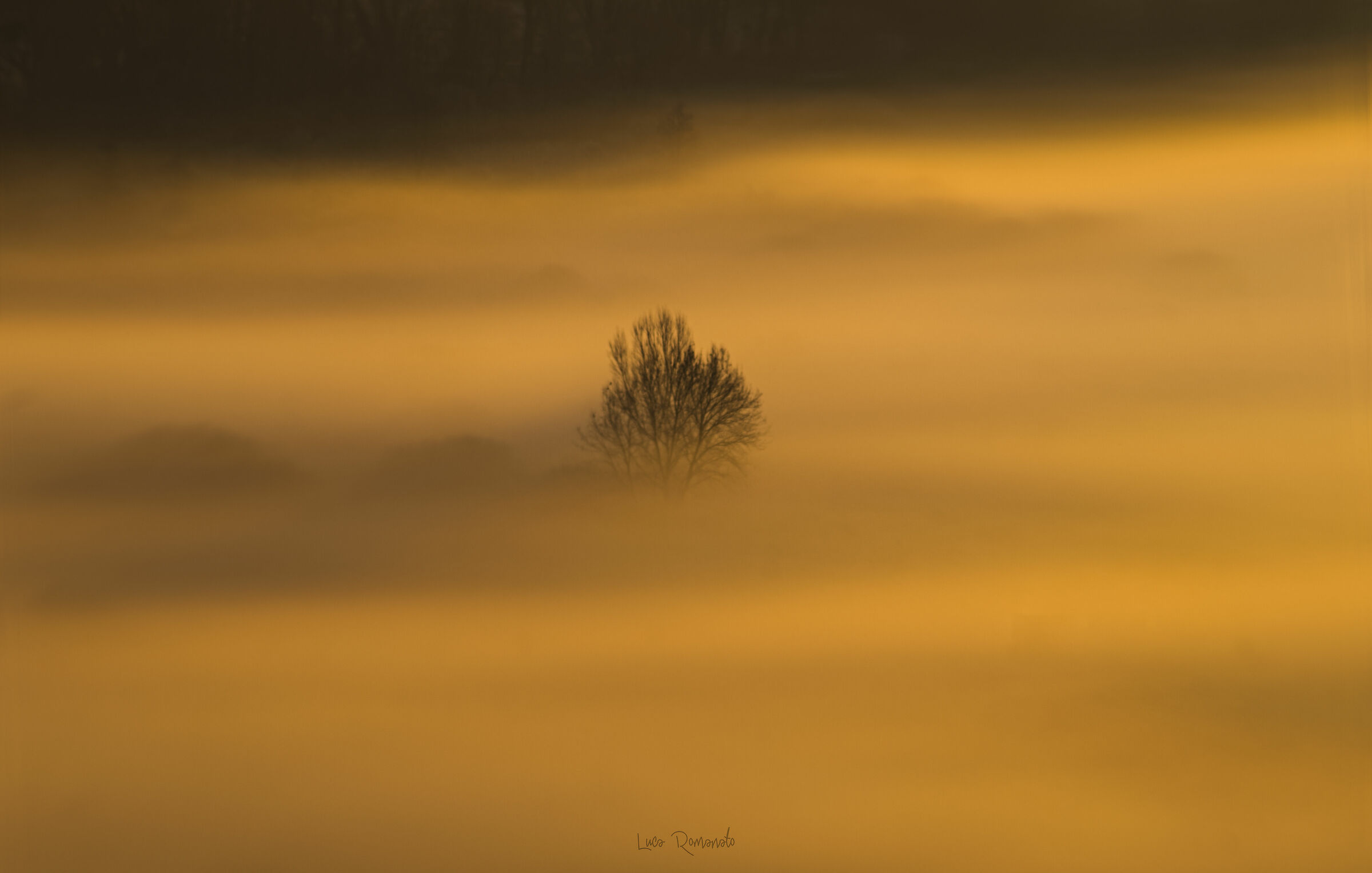 a very special kind of desert