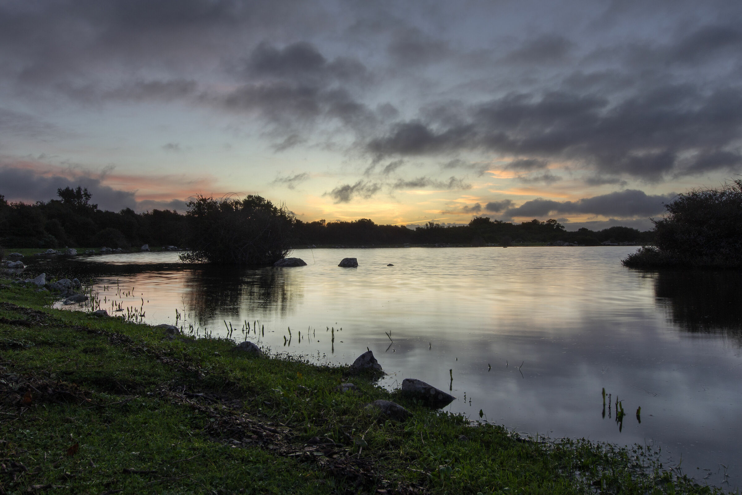 pauli majori 2 doppia esp