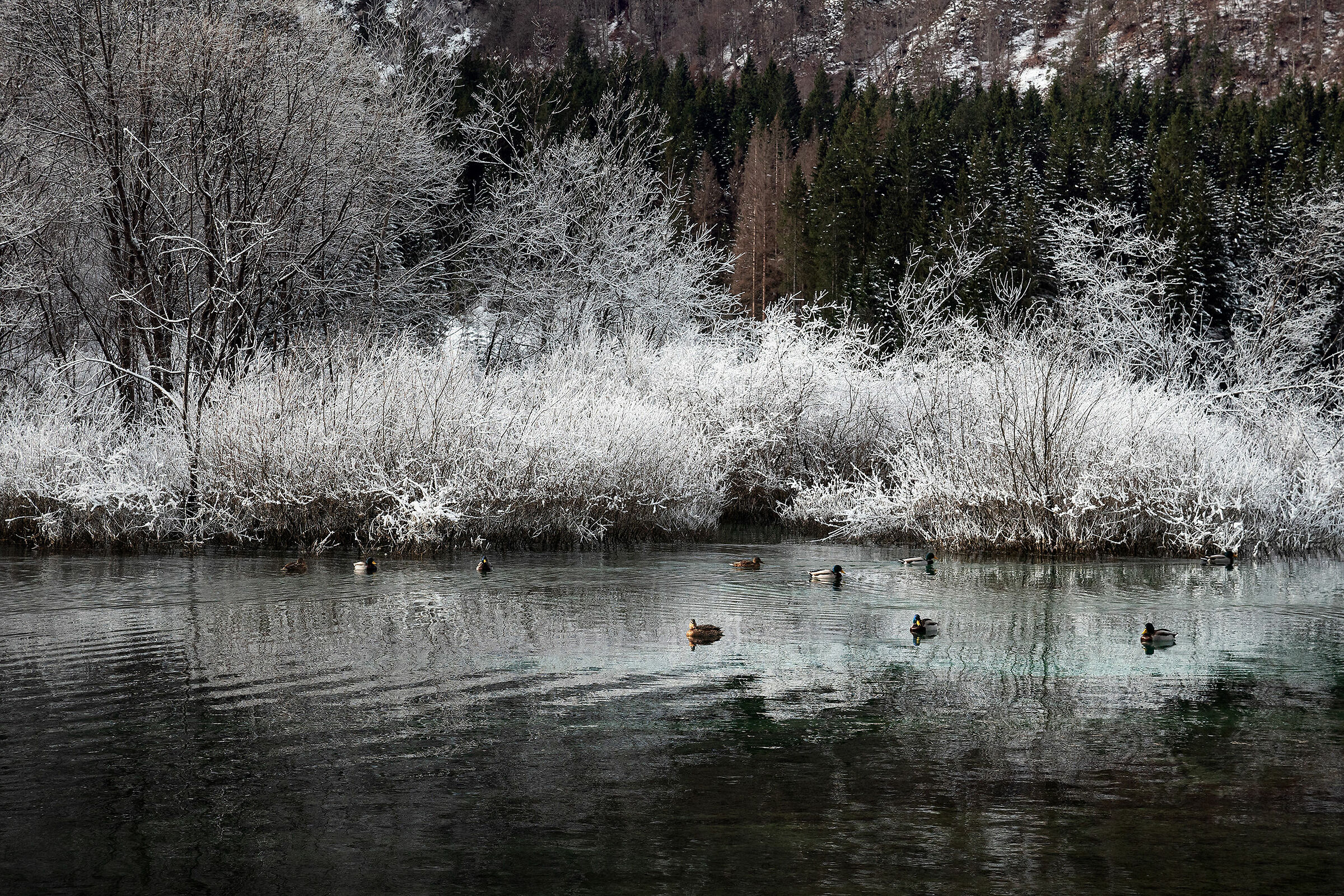 Fusine Lakes -Alpes Giulie - Italy