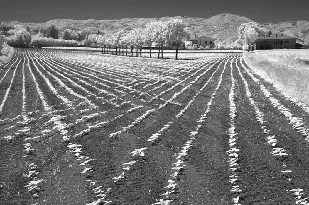 Agricultural geometry