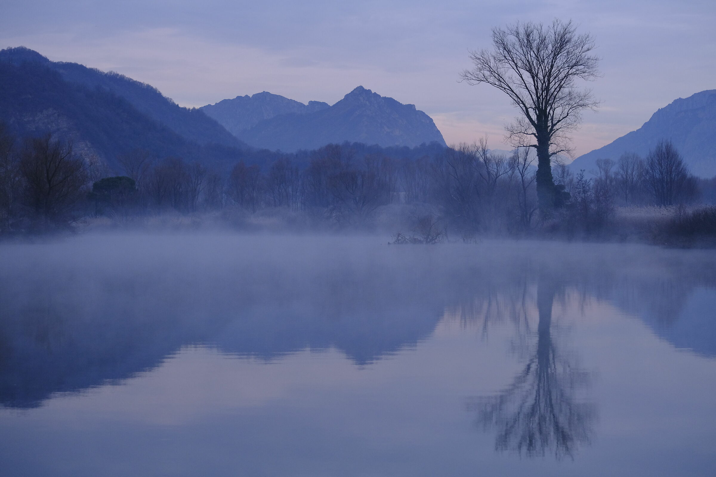 Impressioni di gennaio
