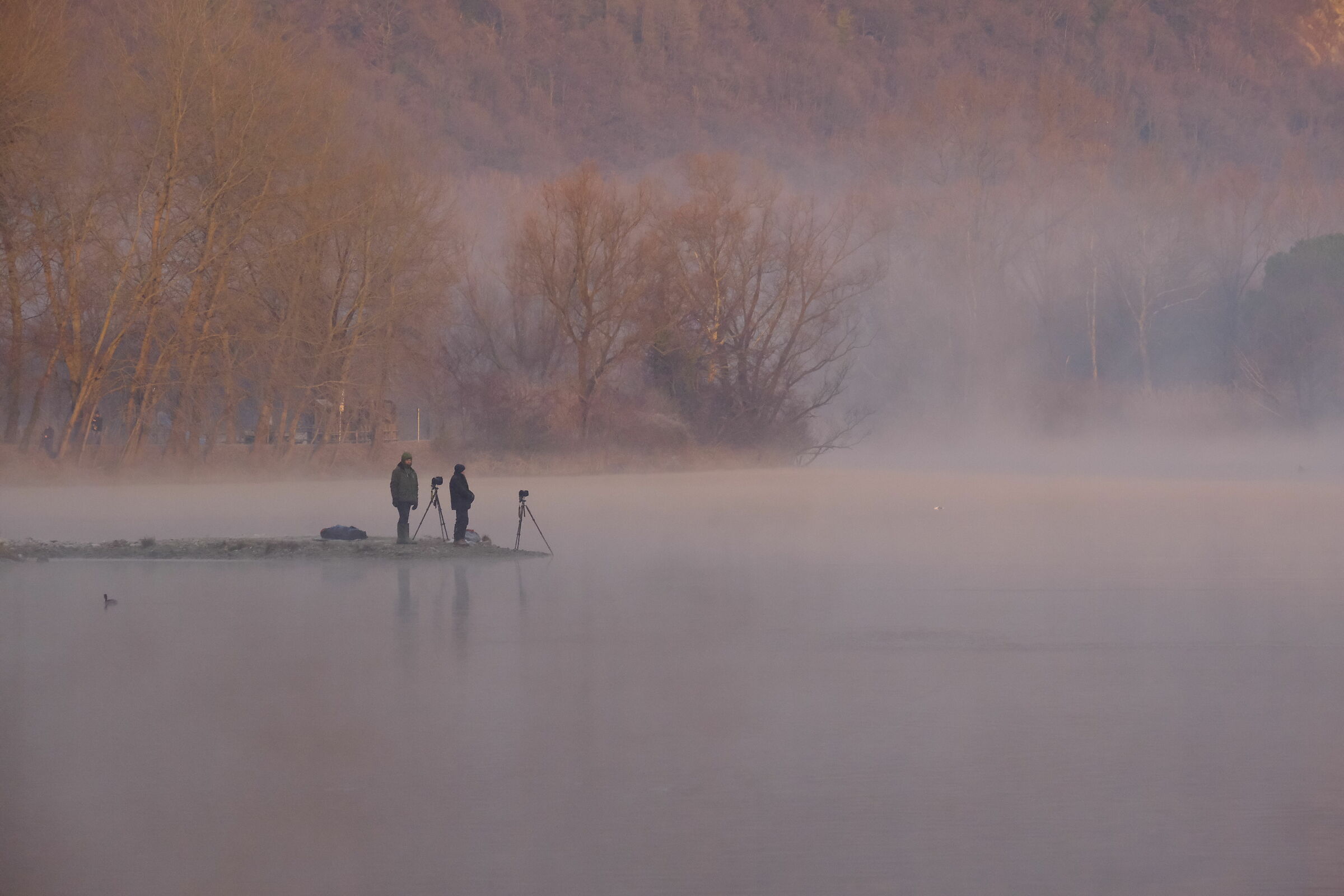 ...cercando la luce nella nebbia...