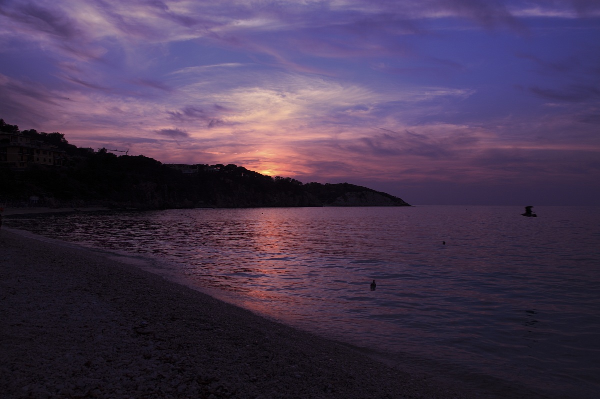 Beach stones, Elba