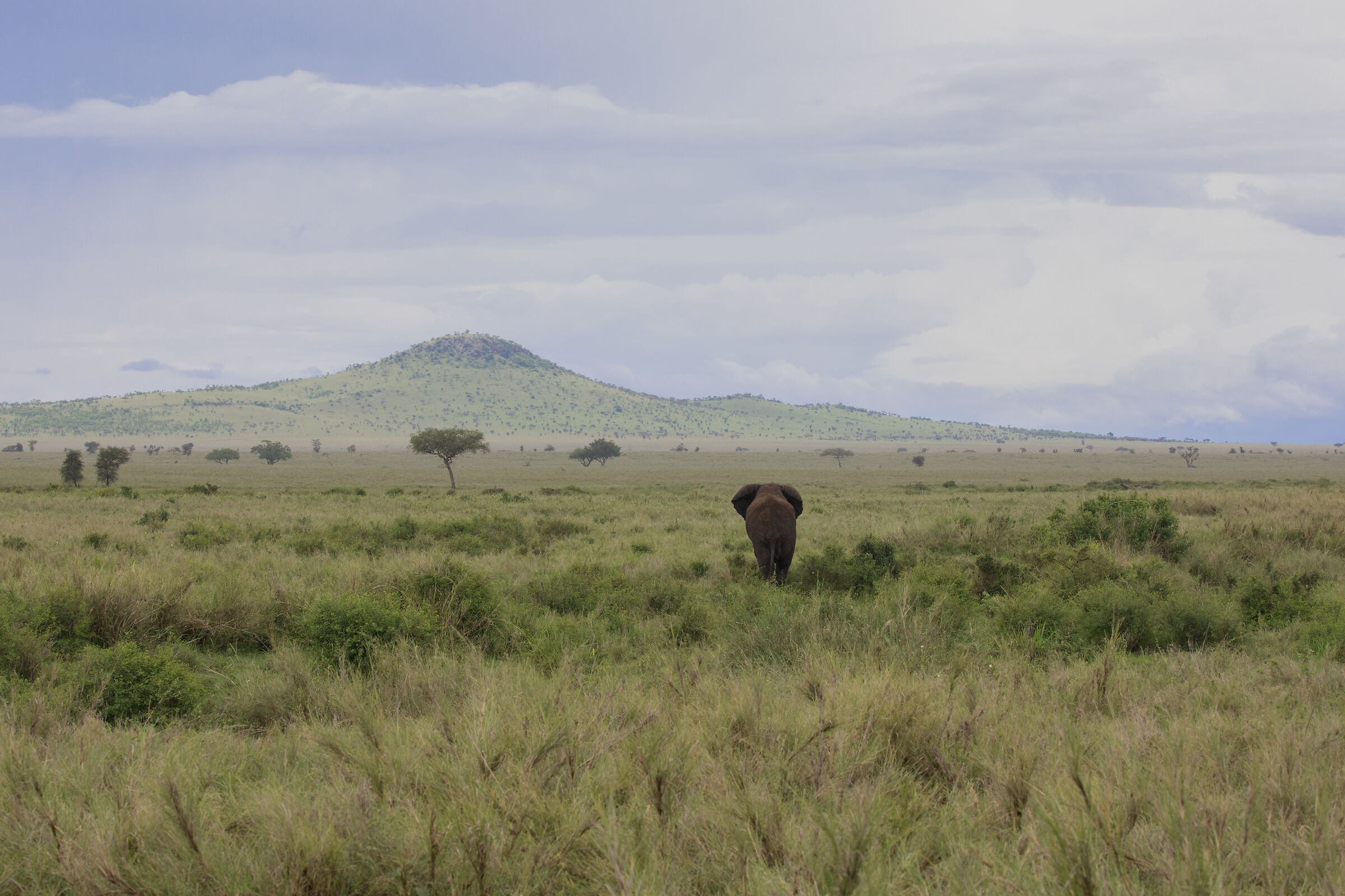 Postcard from Africa