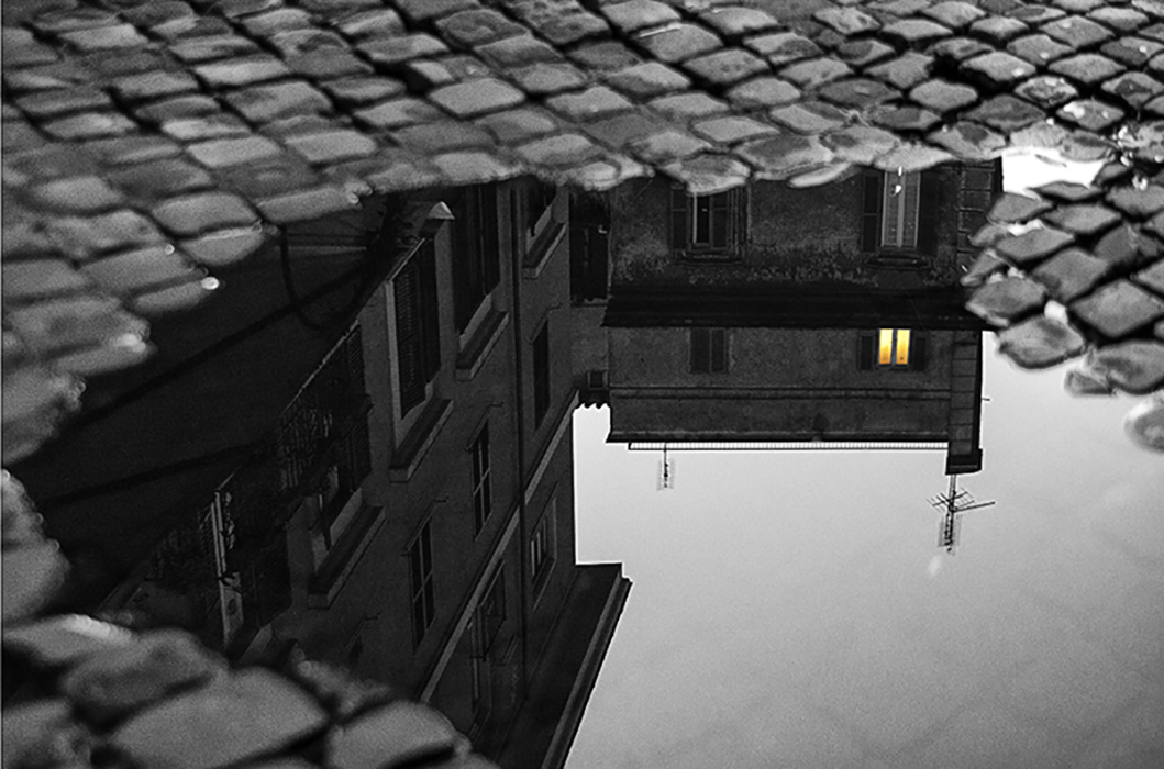 the window