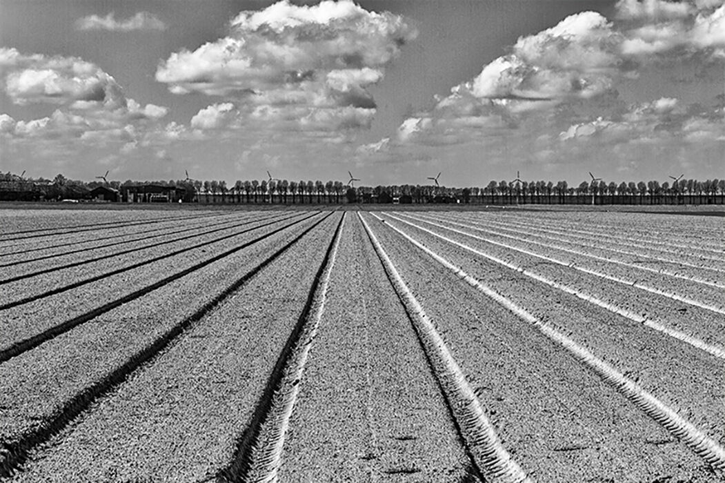 Geometric farming